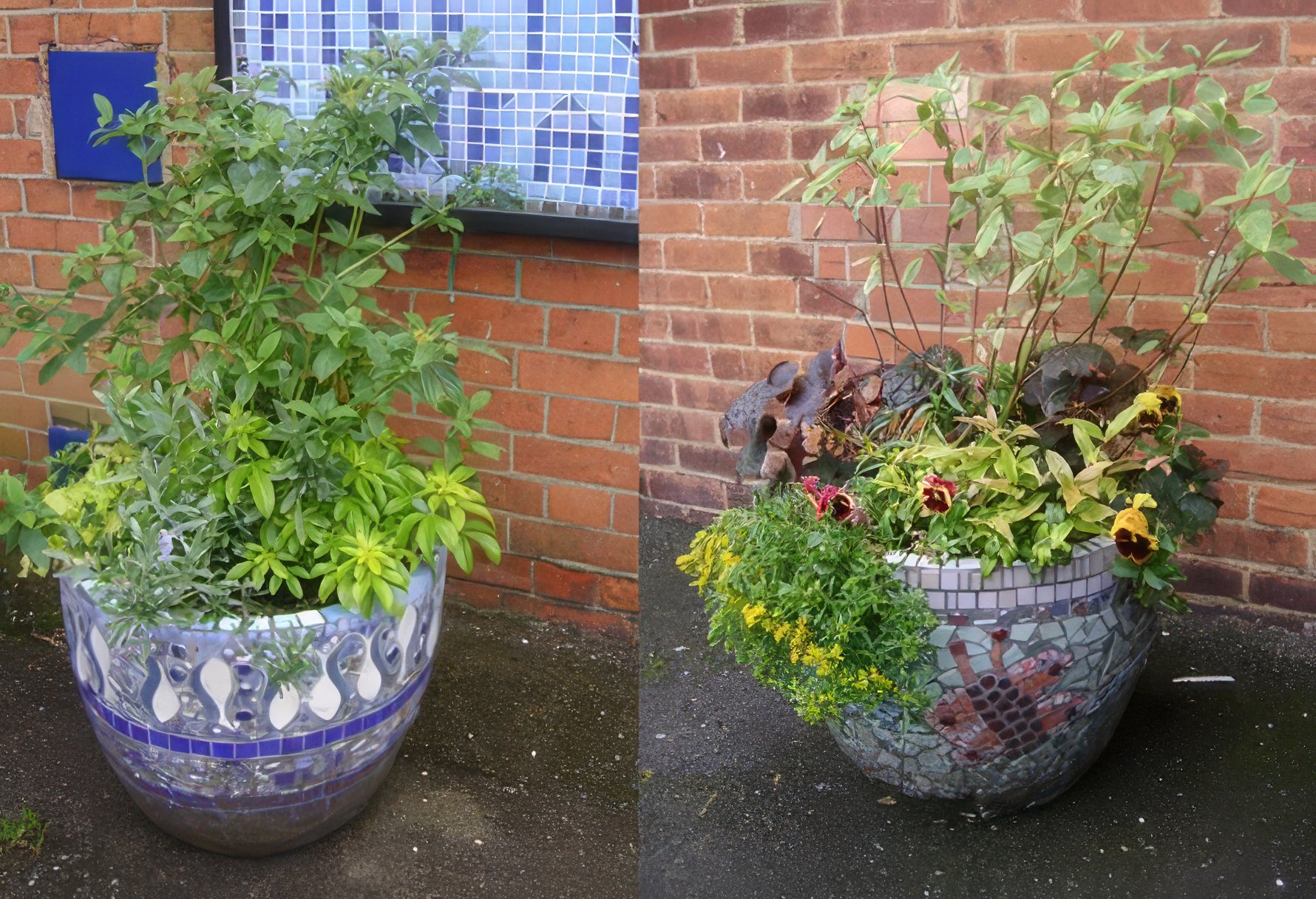 imgi_6_St-Albans_pots Topaz Gigapixel 4x scale.jpg