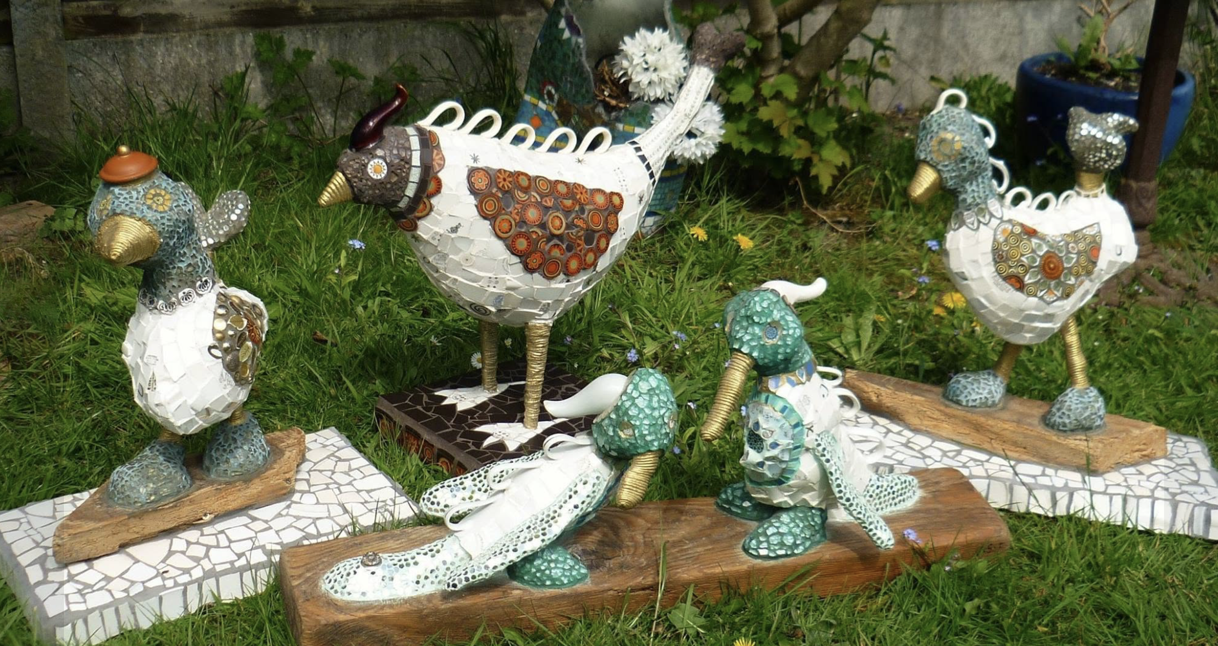 birds-in-grass.jpg
