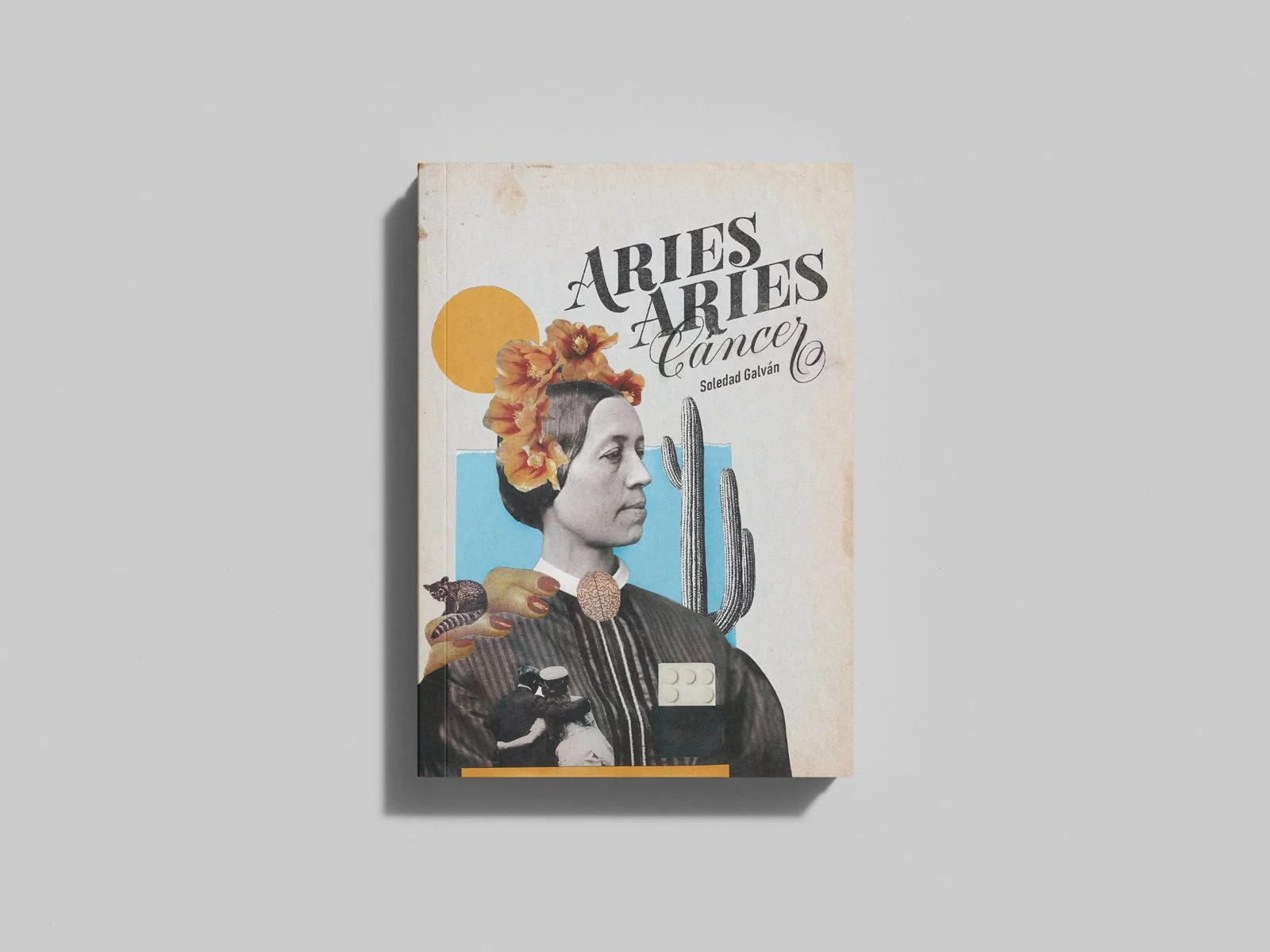 Aries Aries Cáncer