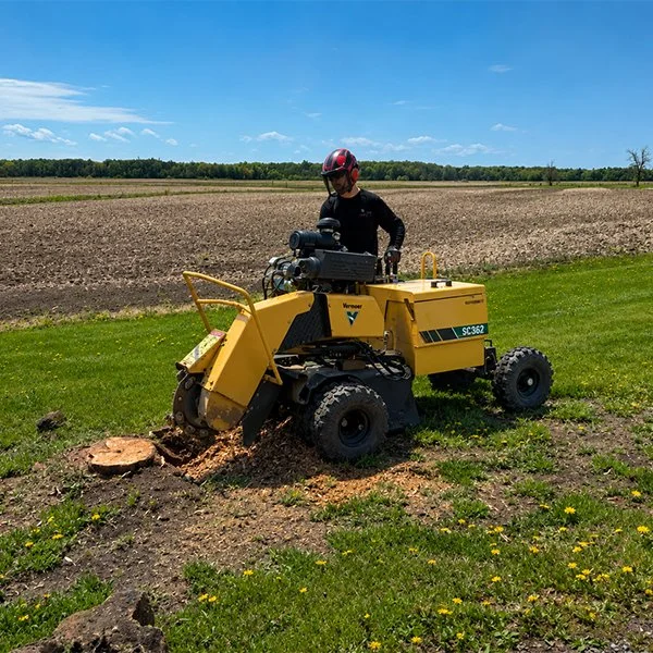 Une personne avec un casque rouge utilisant une machine pour couper un arbre dans un champ vert.