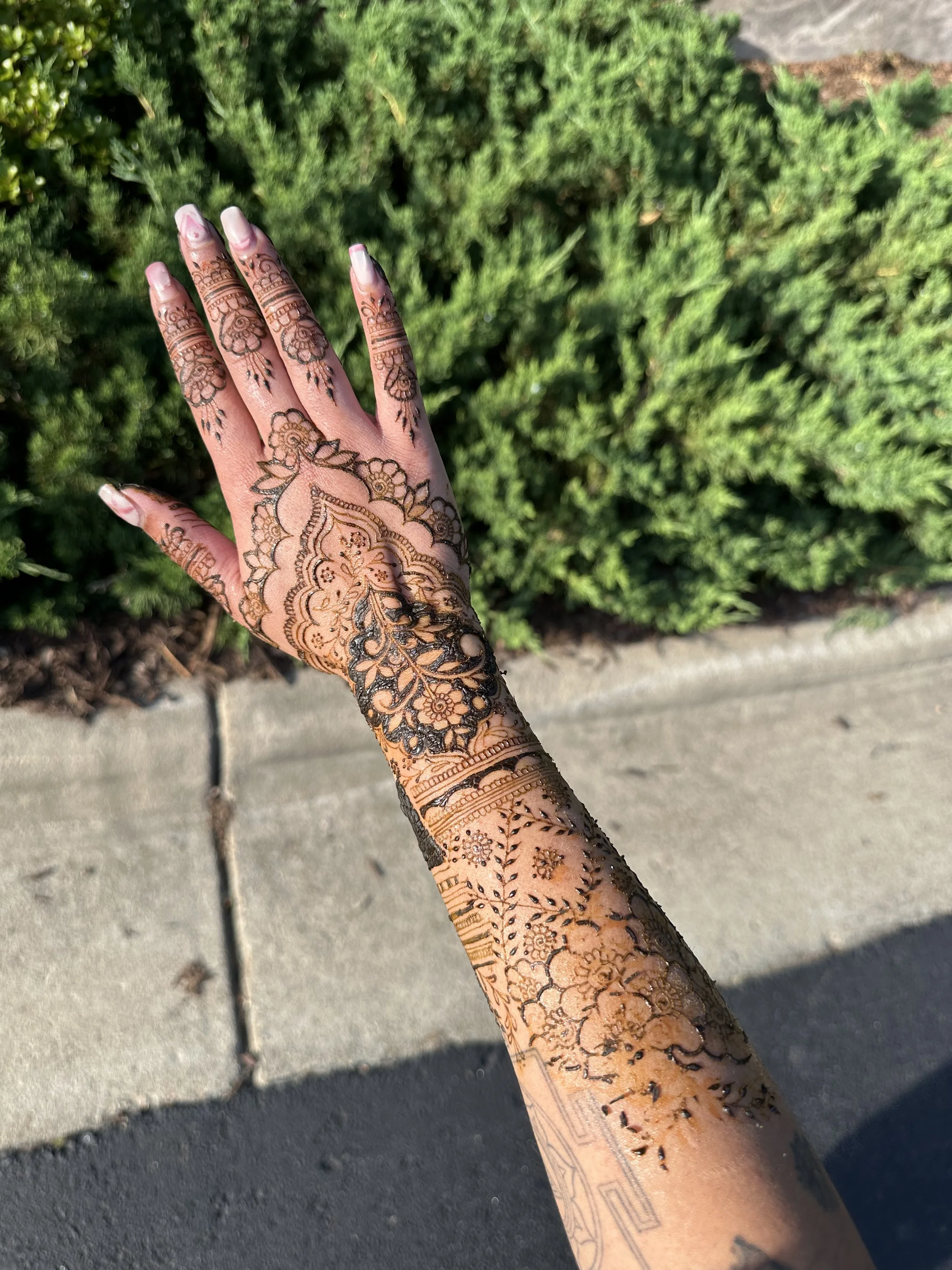 A person's hand with intricate henna designs, raised over greenery and sidewalk.