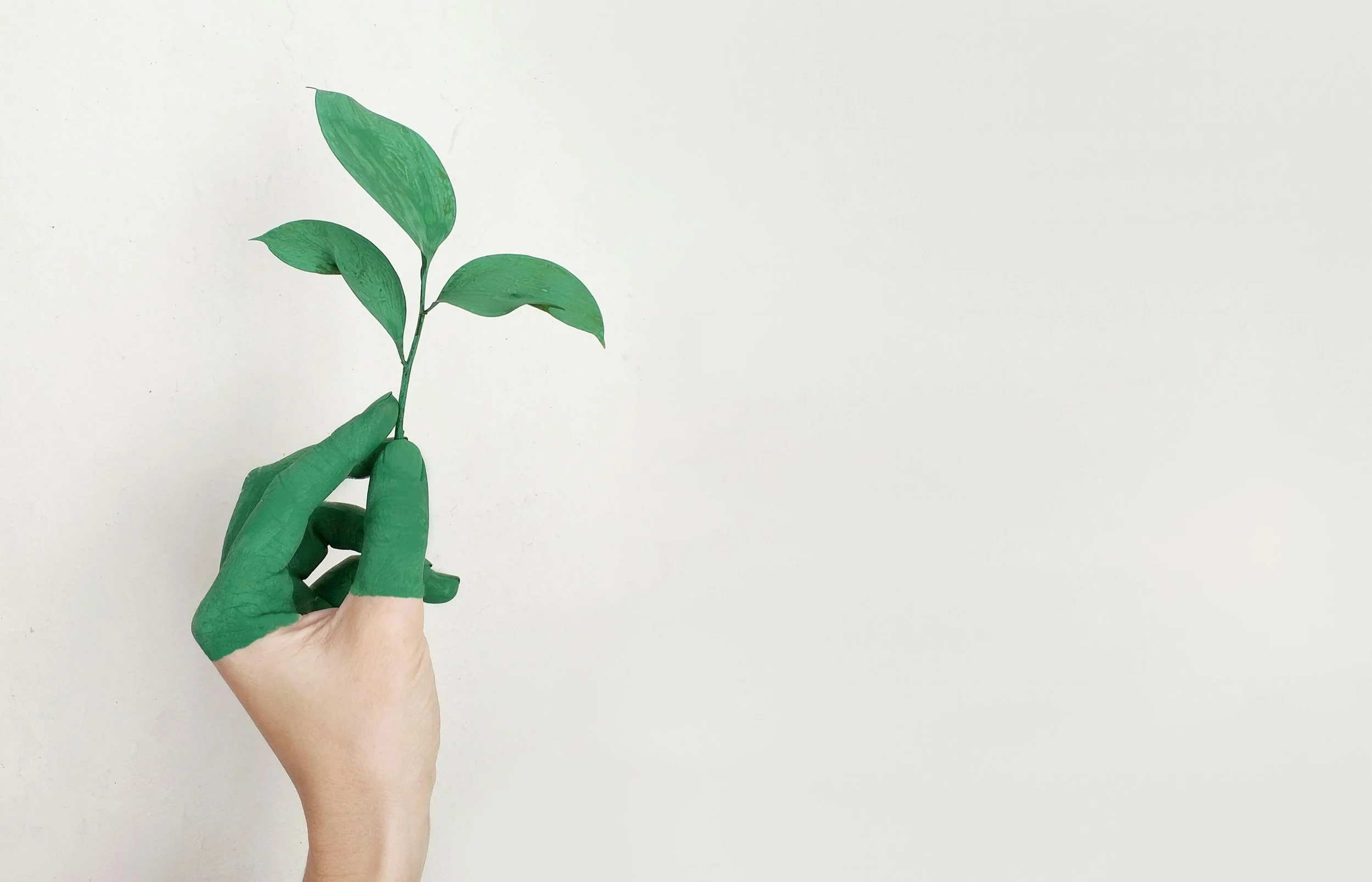 Spring Bank Holidays: Time to Refresh Your Office with Deep Cleaning