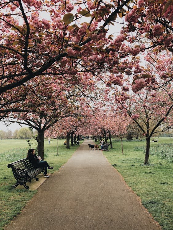 Spring Clean Your Office: The Ultimate April Refresh