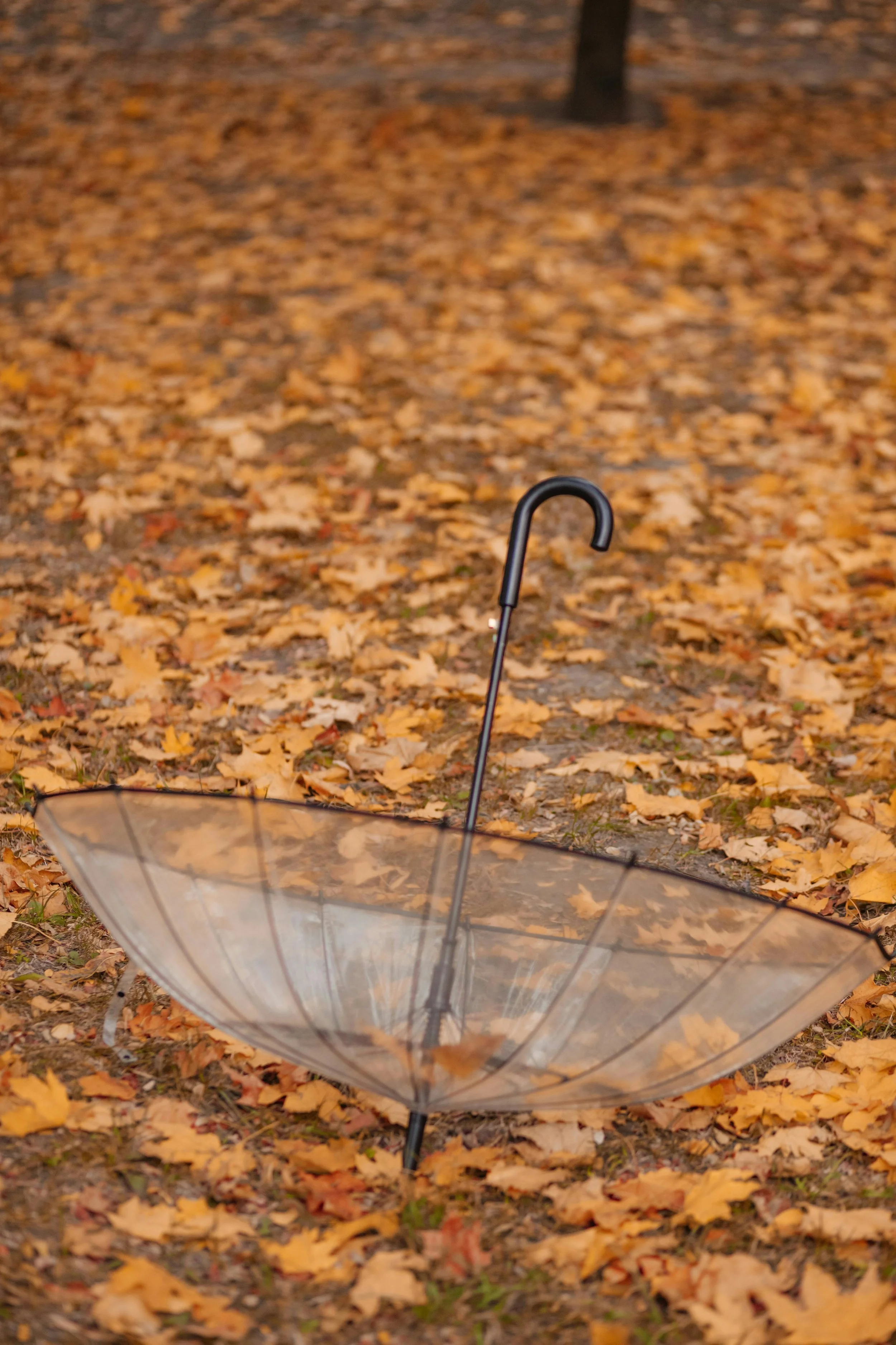 Workplace Cleaning Tips to Combat Winter’s Biggest Challenges