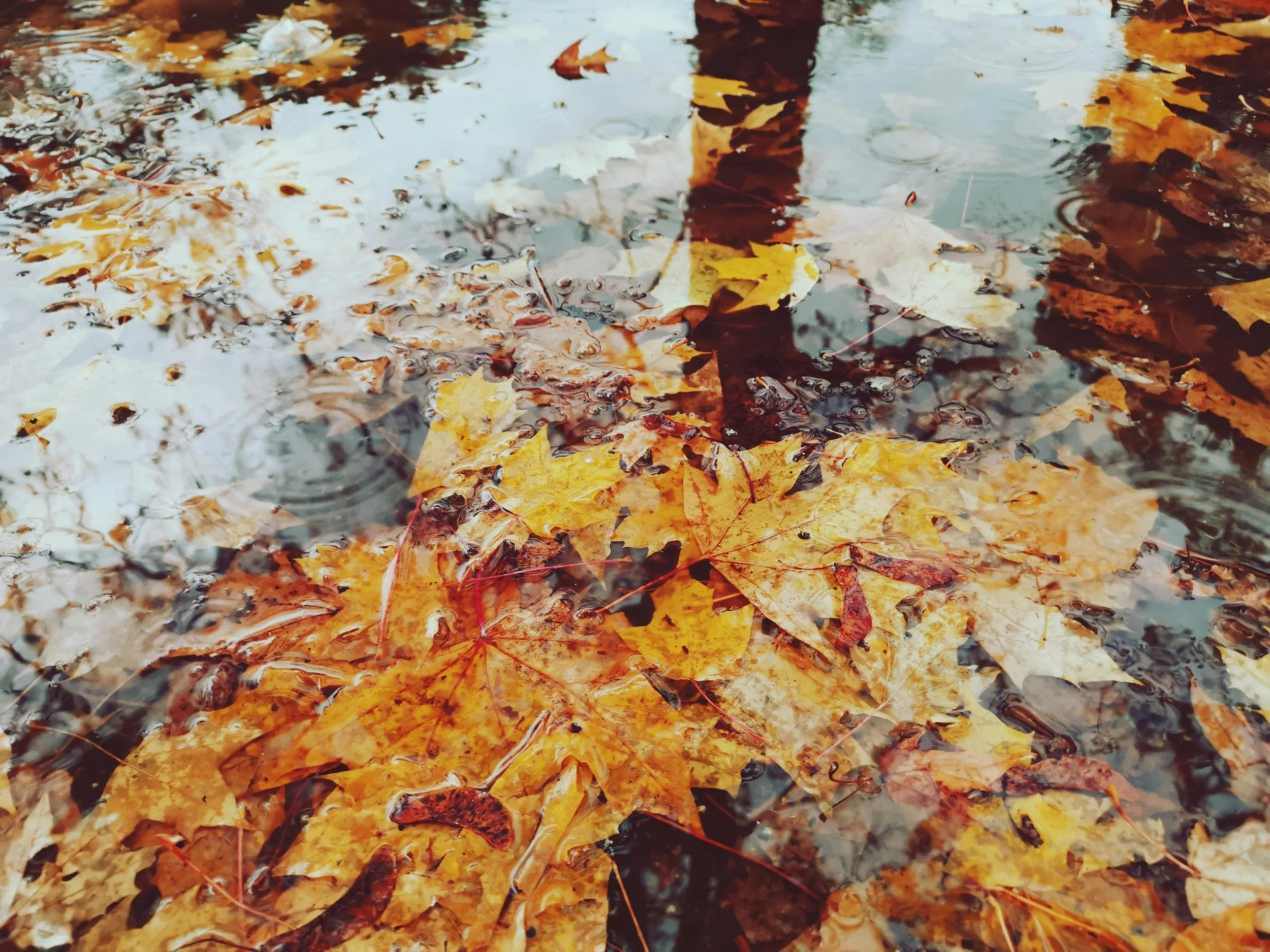 How to Keep Your Business Sparkling During Winter: Special Considerations for Cold Weather