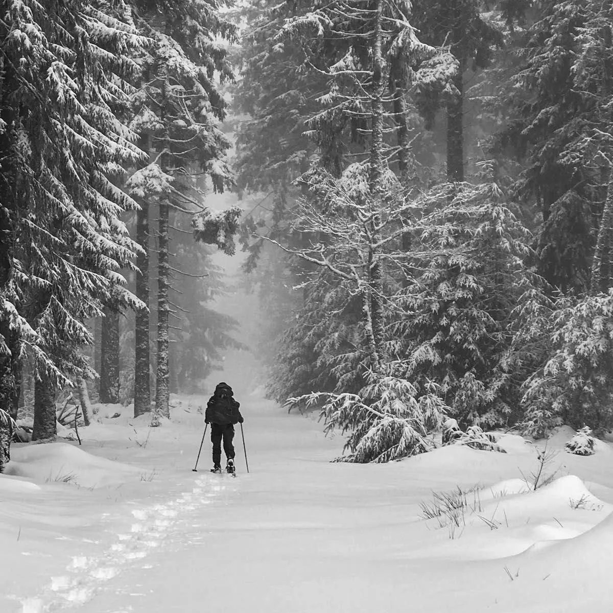 Een persoon die sneeuwschoenen draagt loopt door een besneeuwd bos met hoog opgaande, met sneeuw bedekte dennenbomen en een mistige achtergrond. Mental health, coaching, welzijn, natuur, kalmte, groei, innerlijke rust