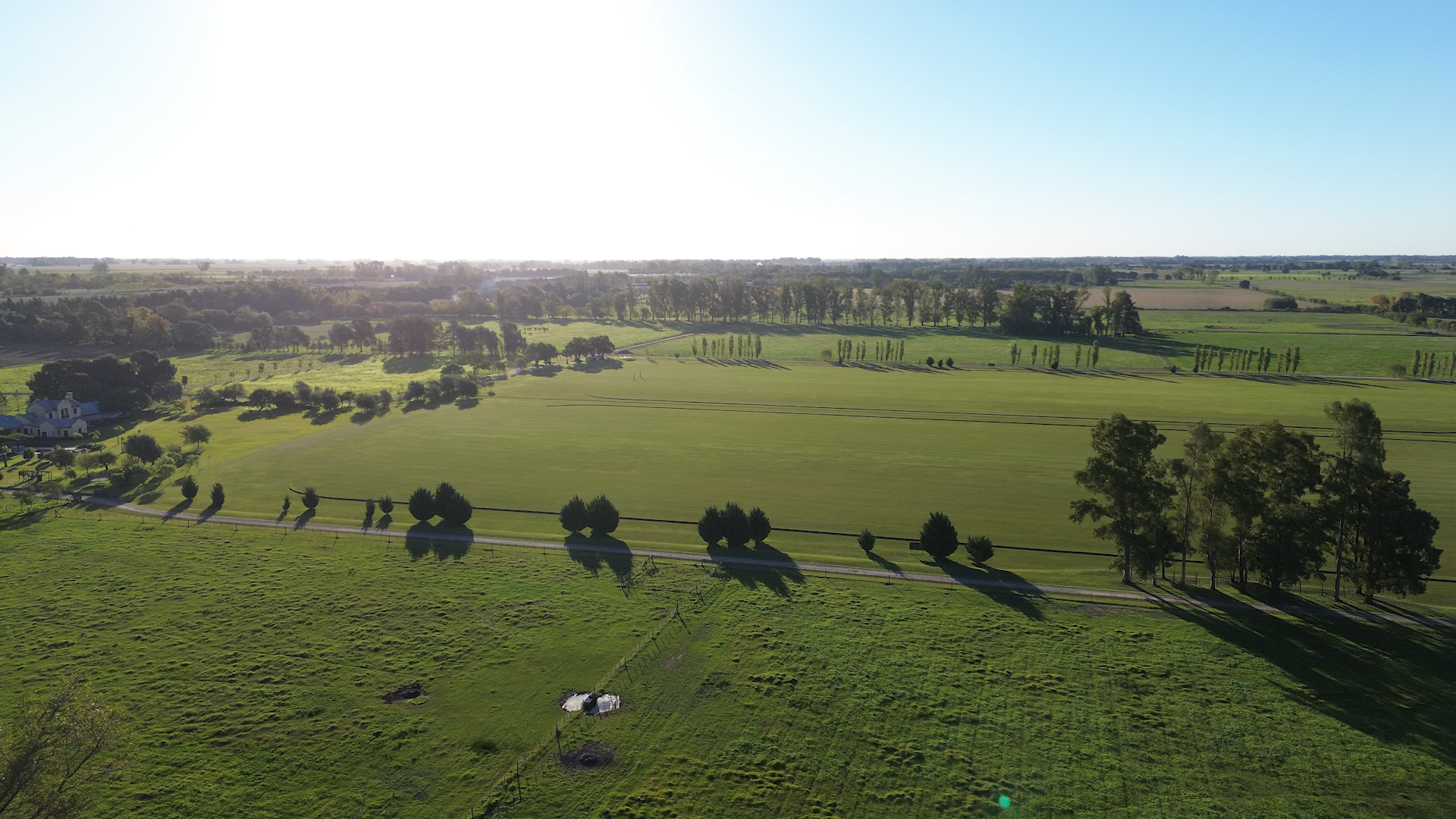 Cancha 20 (2).png