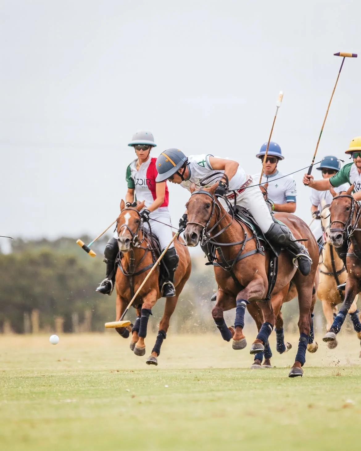 Partido de polo en acción con jugadores montados en caballos persiguiendo una pelota en el campo.