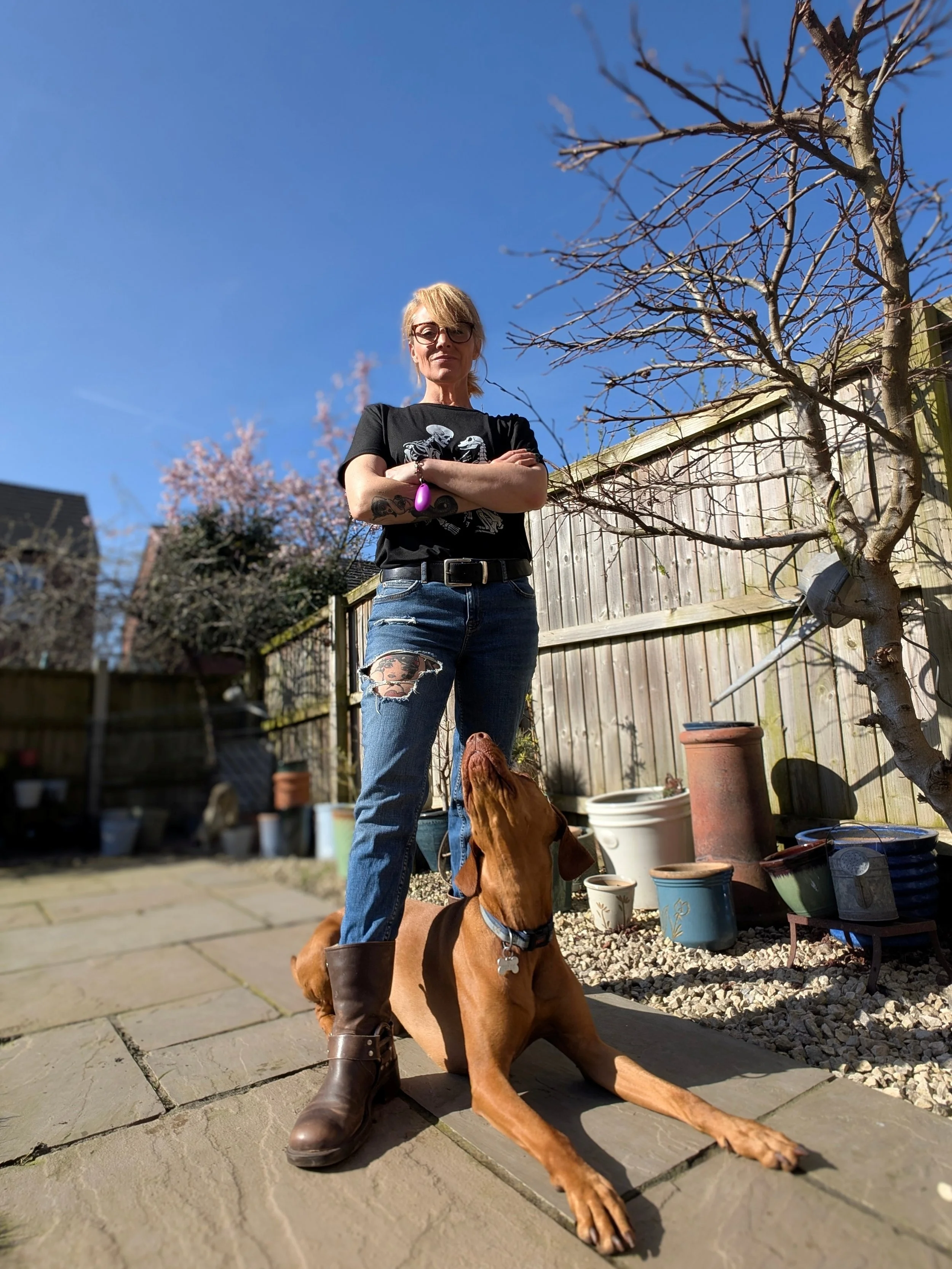 Transformation Package | Full behavioural modification for reactive and rescue dogs. For owners who've tried everything else.