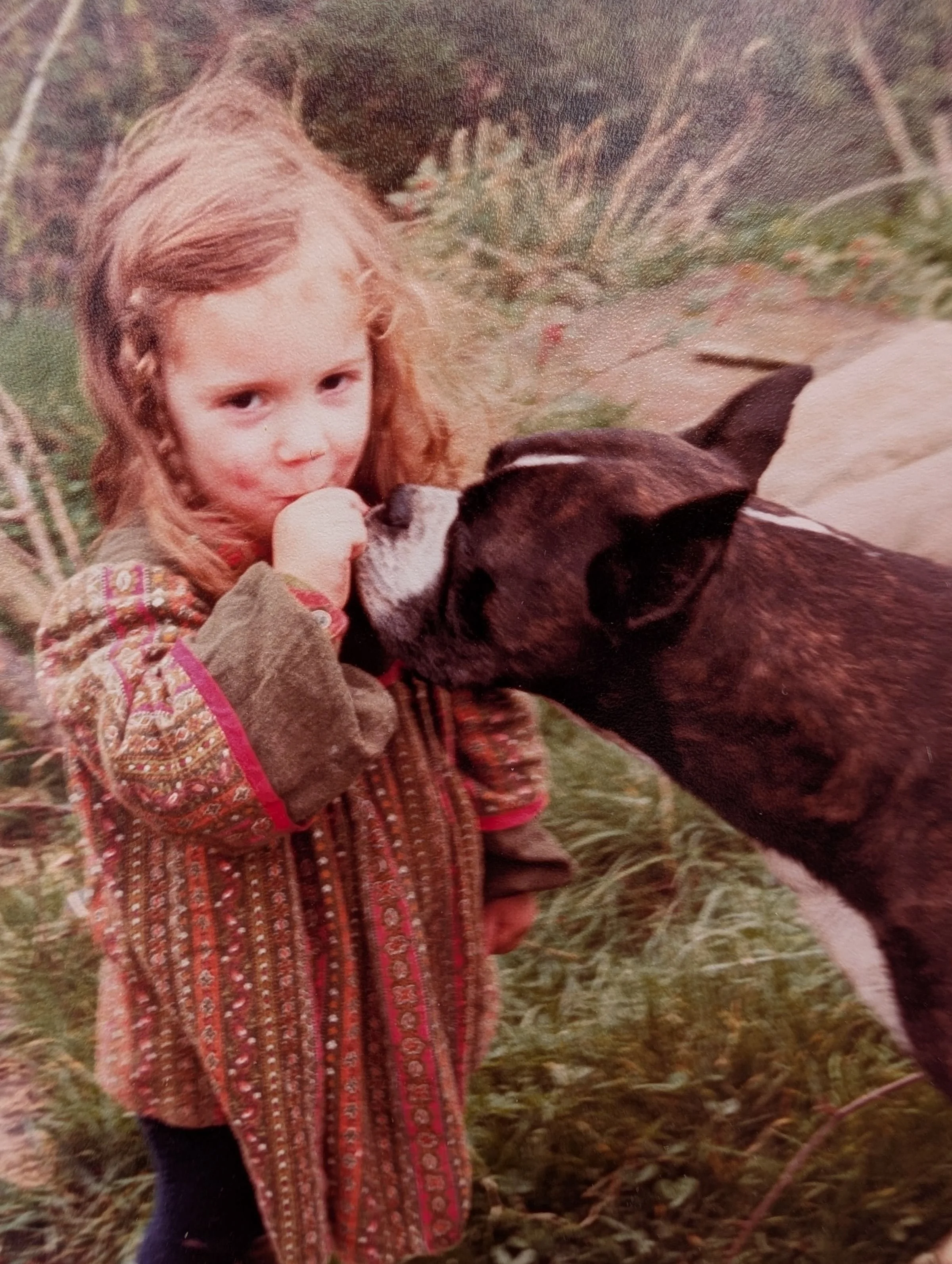 Leo Somers Dog Trainer