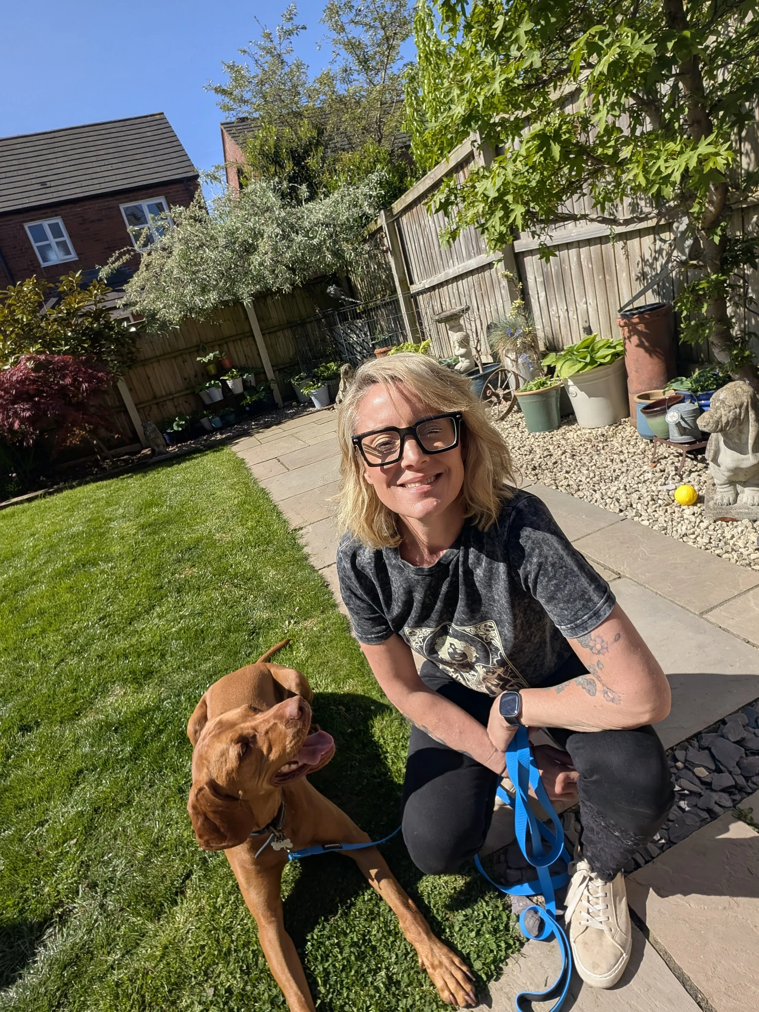 Reactive Vizsla Northwich