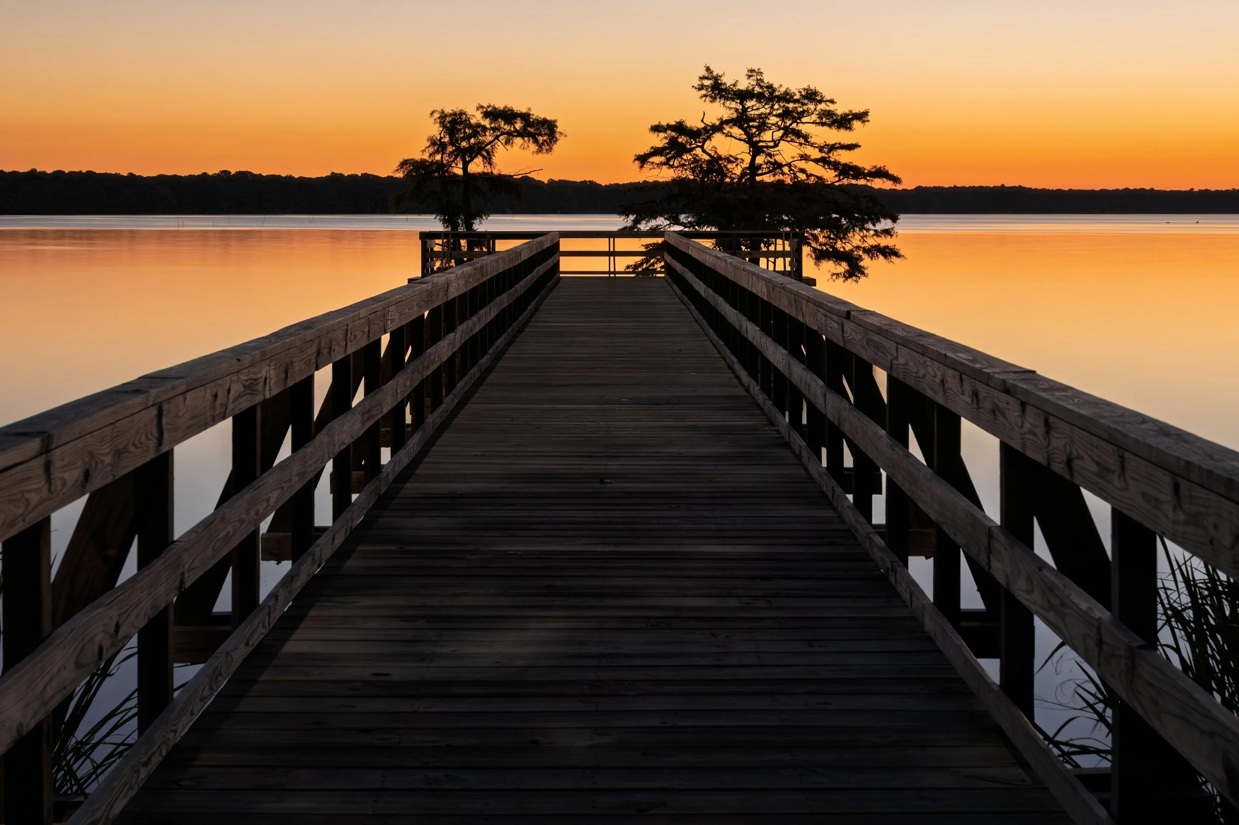 Reelfoot Lake