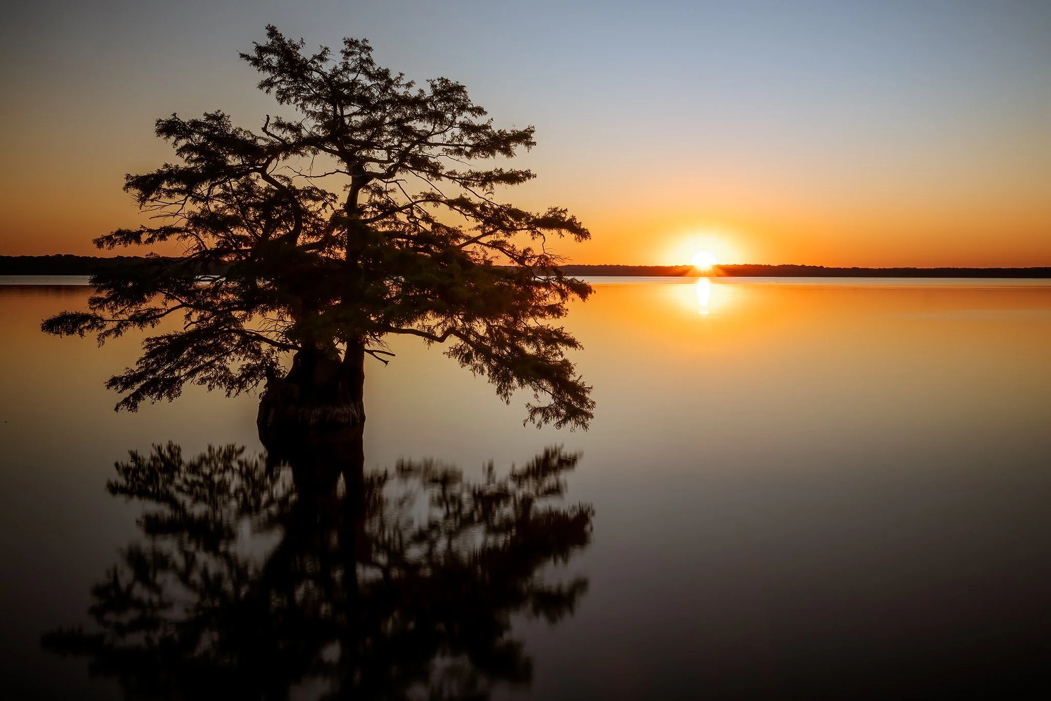 Reelfoot Lake Sunrise