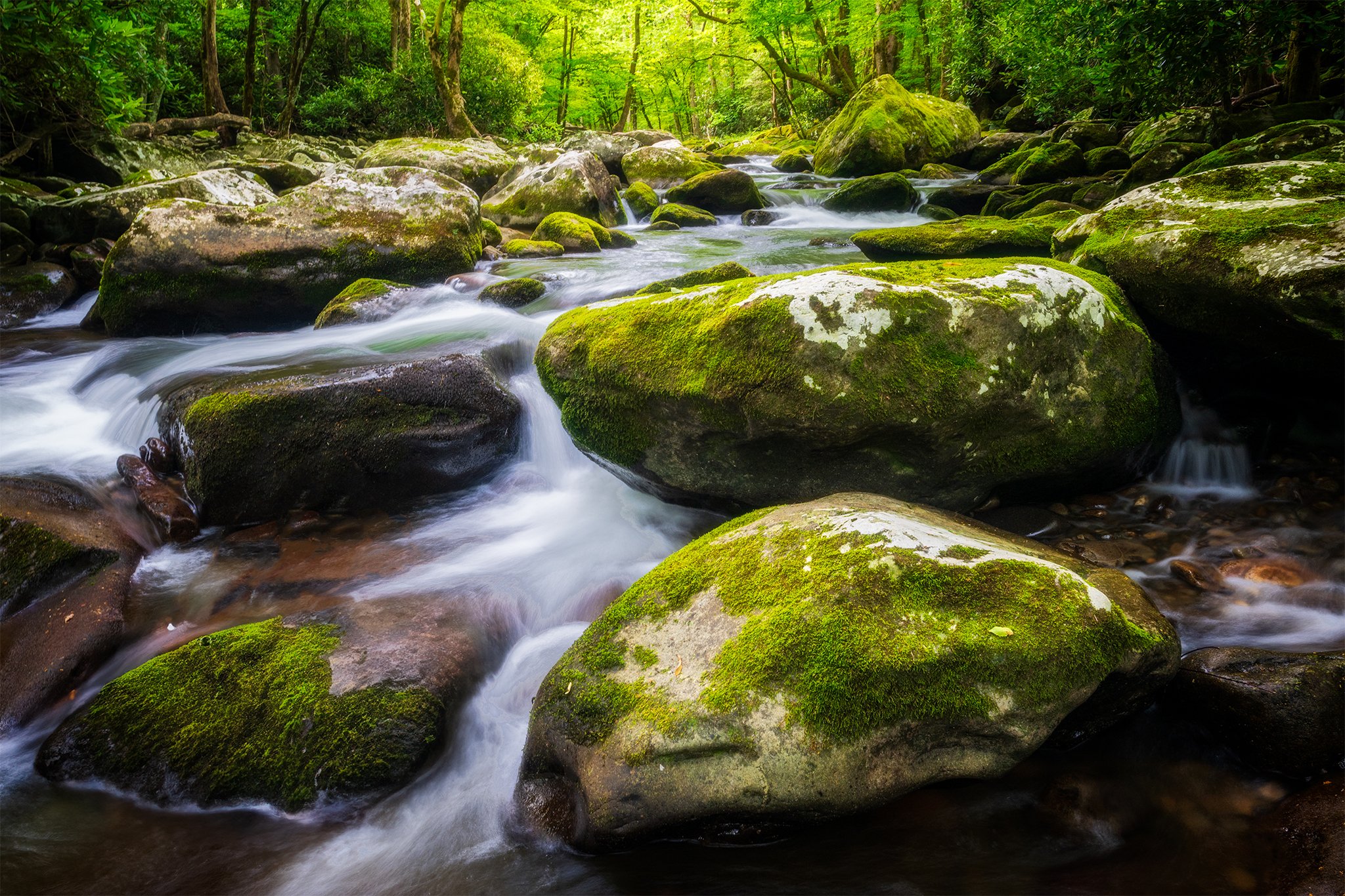 Great Smoky Mountain National Park