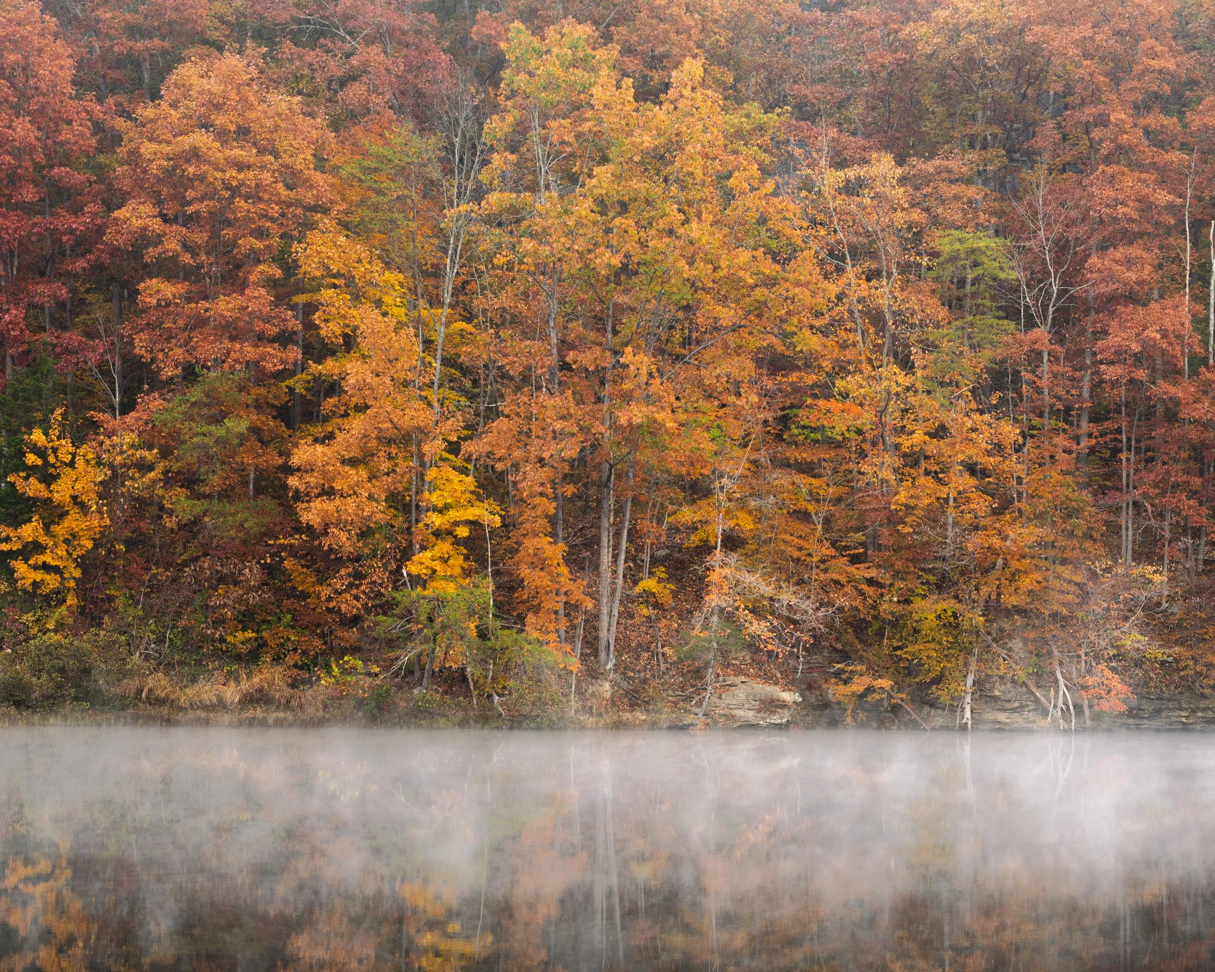 Fall Color at Red River Gorge