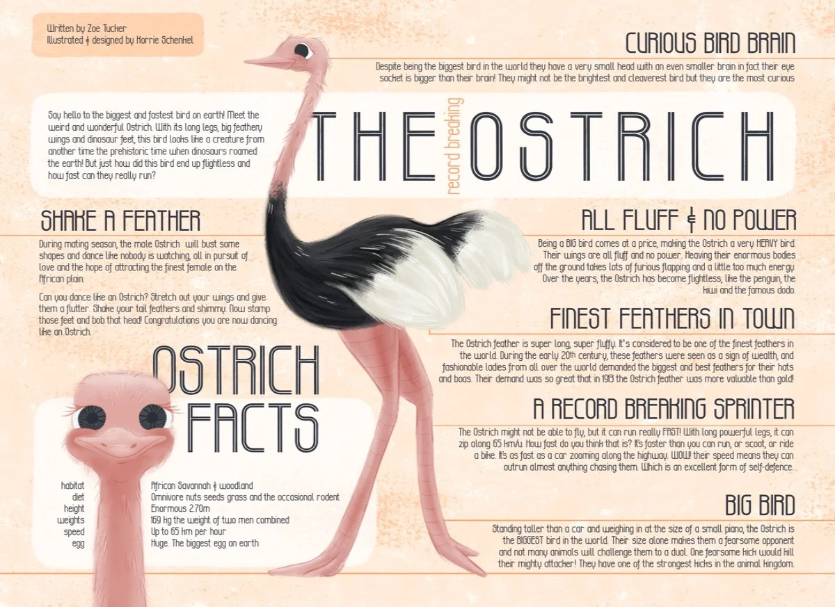 BOOK SPREAD OSTRICH