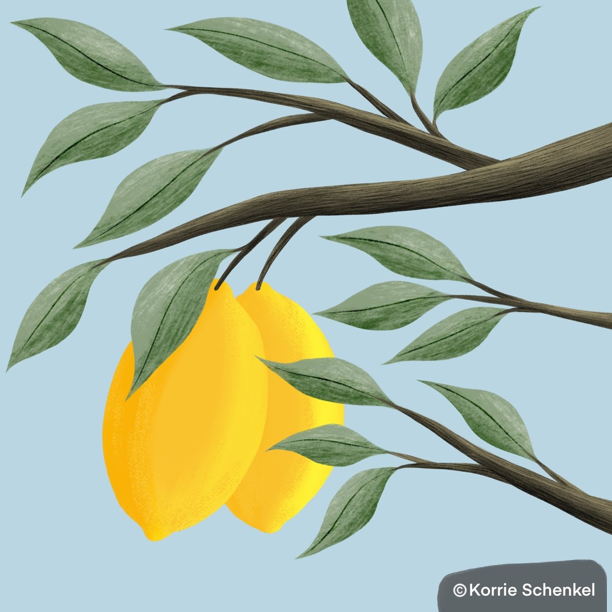 citrus branches