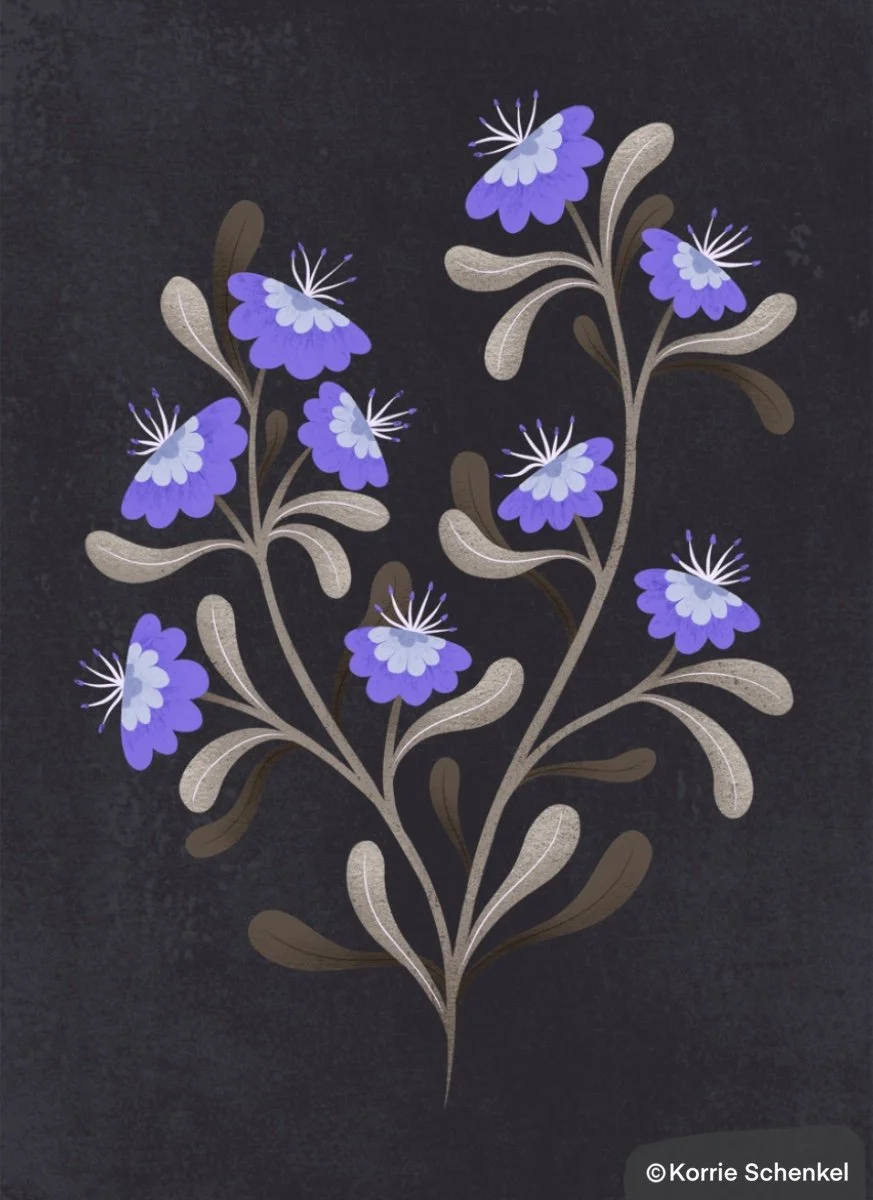PPP-KS00007-016-nightshade