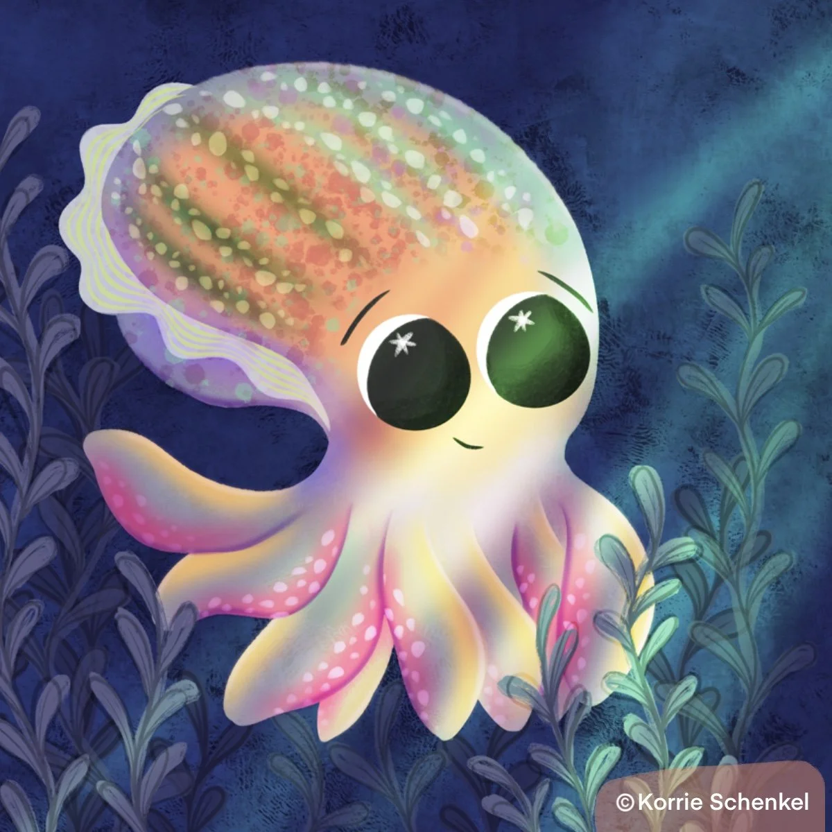 JIMJAM-THE BOBTAIL SQUID