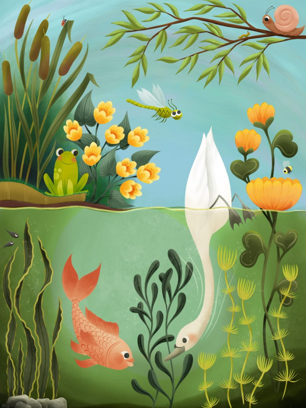 POND LIFE