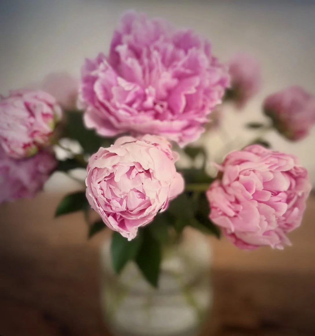 A glass vase with pink peony flowers on a wooden surface.