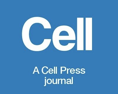 CELL.jpg