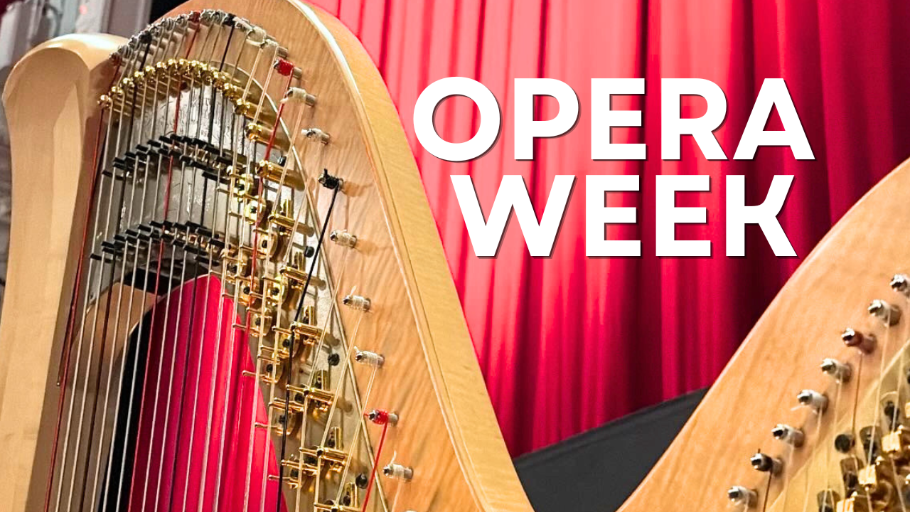 Playing the harp for York Opera