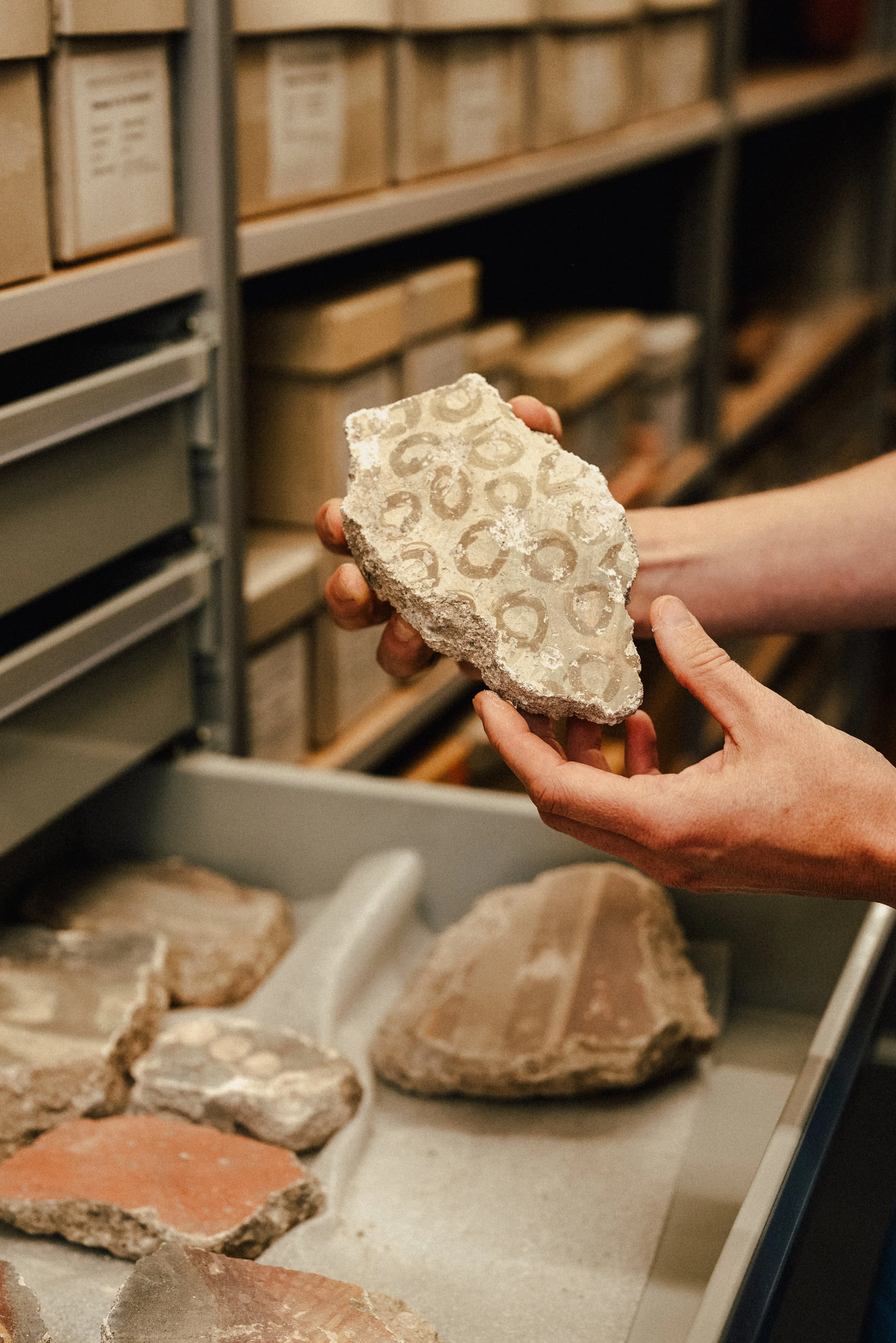 Kantonsarchäologie Schaffhausen - Fotoreportagen und Business Fotos - deine Fotografin in Schaffhausen, Winterthur, Zürich, Thurgau