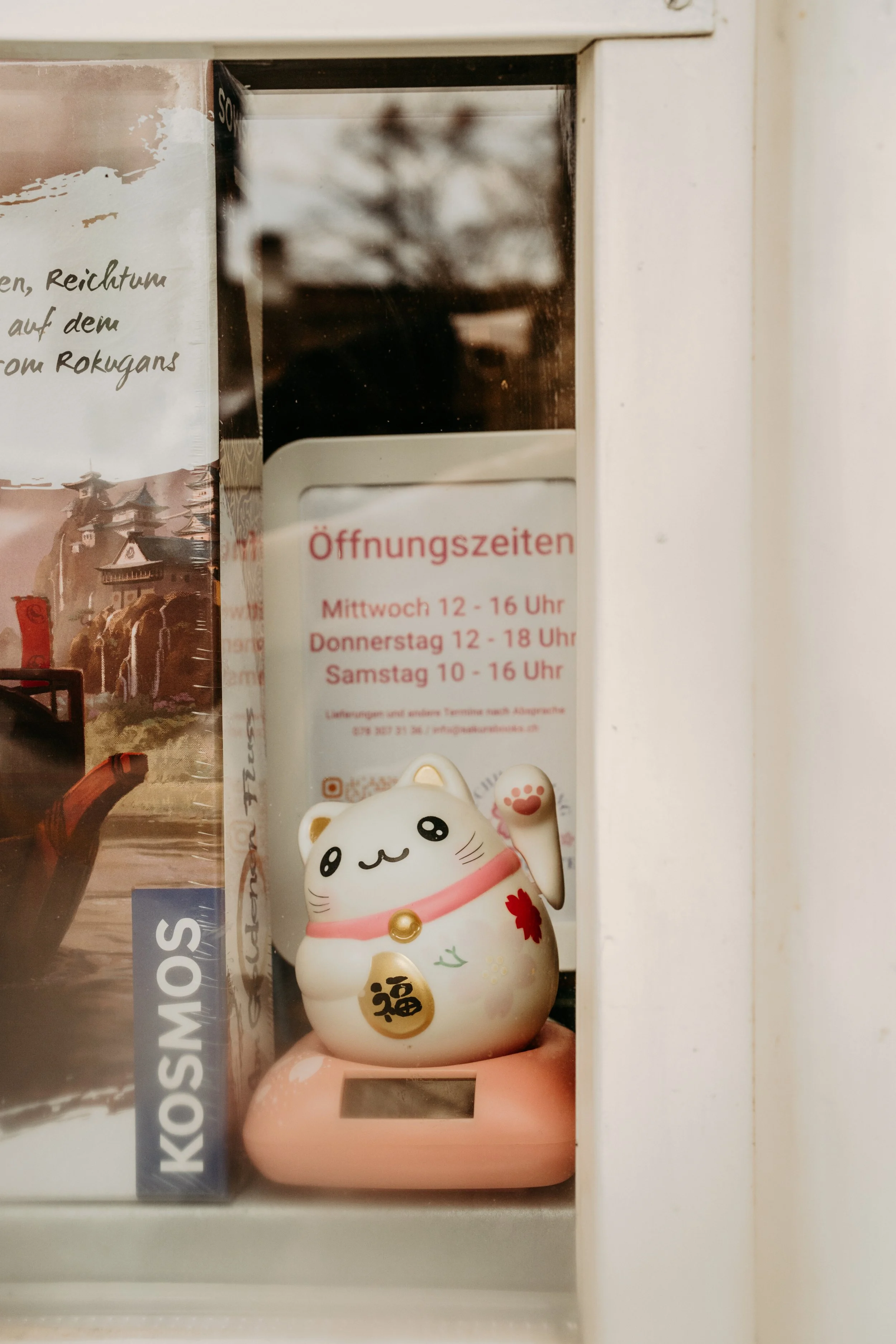 Buchhandlung Kirschblüte Schaffhausen- Personal Branding, Fotoreportage für Frauen geführtes Business, Portraits und Authentische Business Fotografie für dein kleines individuelles Unternehmen oder Geschäft, von deiner Fotografin in Schaffhausen, Win