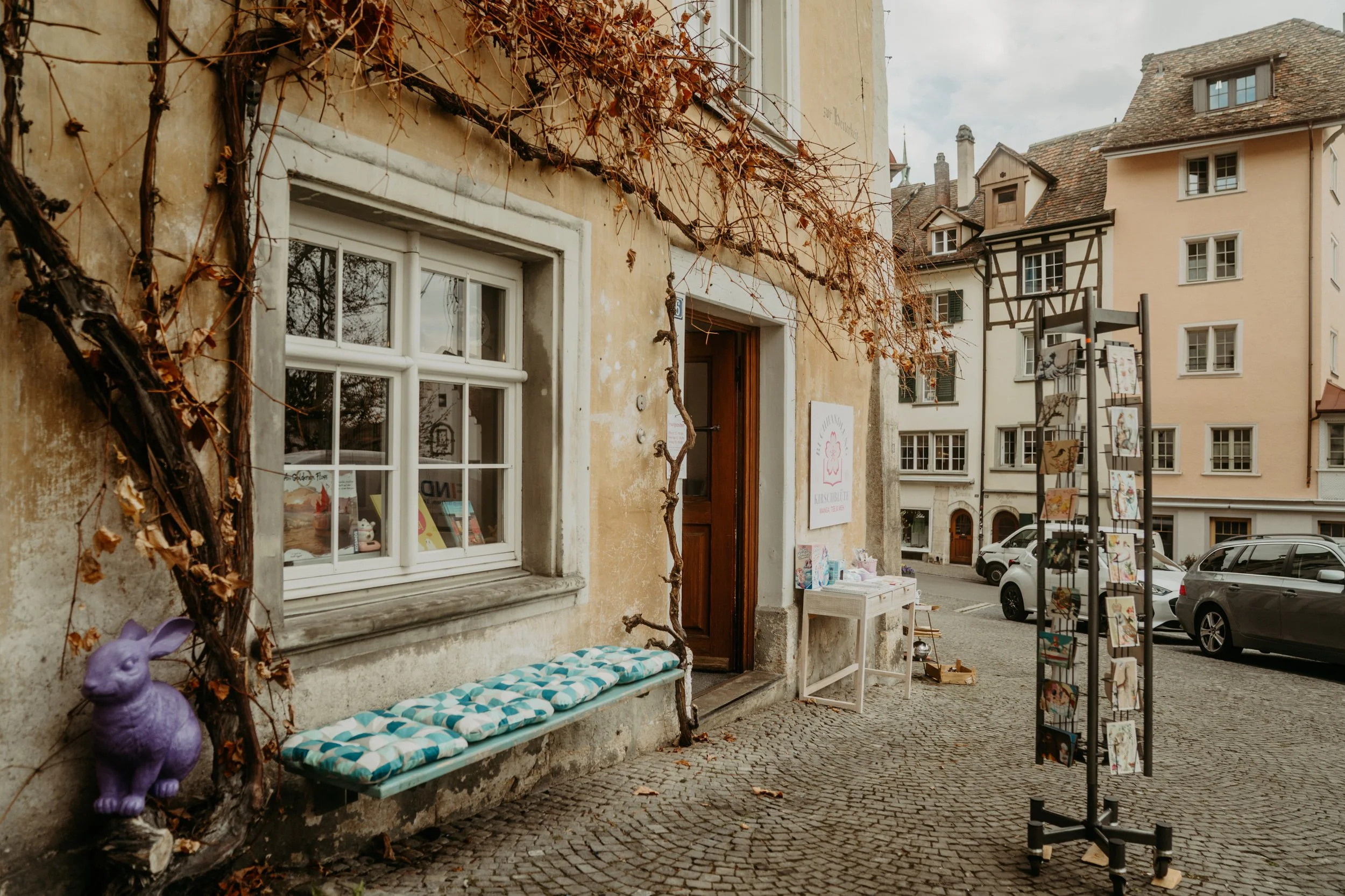 Buchhandlung Kirschblüte Schaffhausen- Personal Branding, Fotoreportage für Frauen geführtes Business, Portraits und Authentische Business Fotografie für dein kleines individuelles Unternehmen oder Geschäft, von deiner Fotografin in Schaffhausen, Win