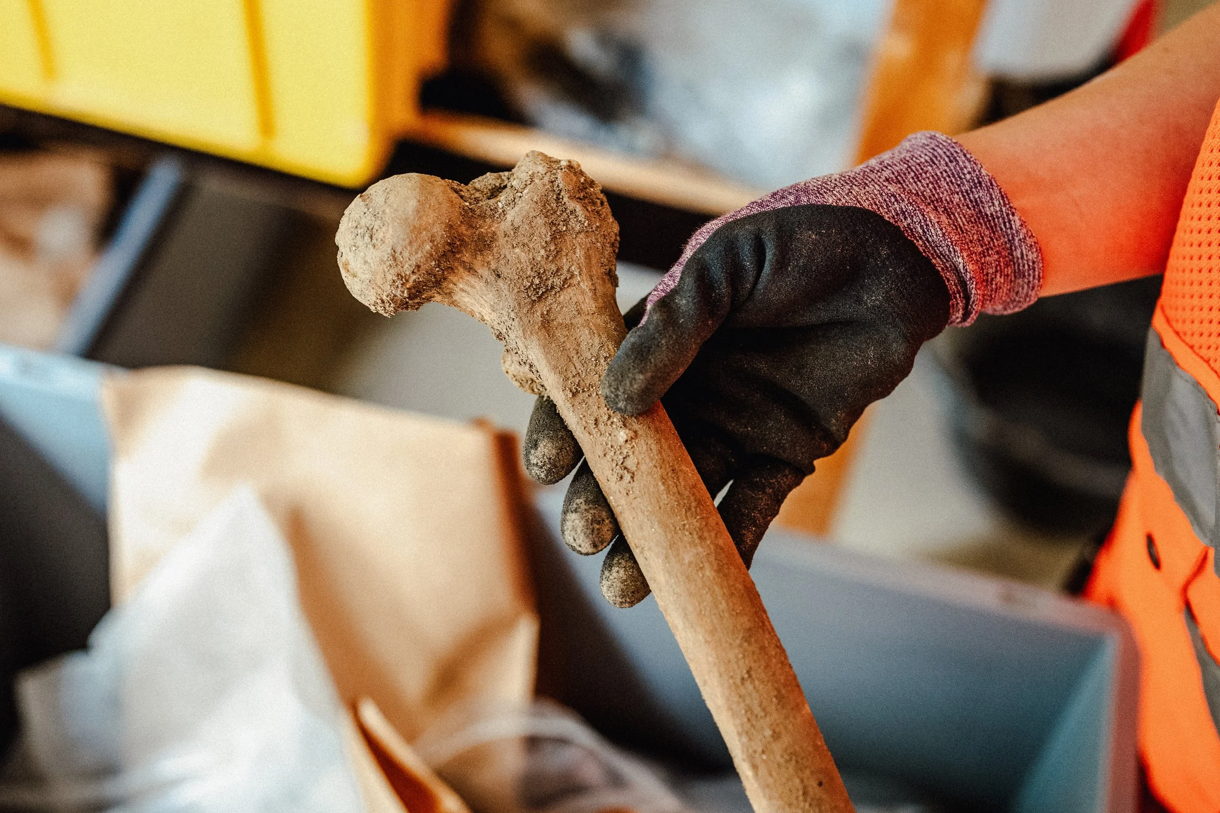 Kantonsarchäologie Schaffhausen - Fotoreportagen und Business Fotos - deine Fotografin in Schaffhausen, Winterthur, Zürich, Thurgau