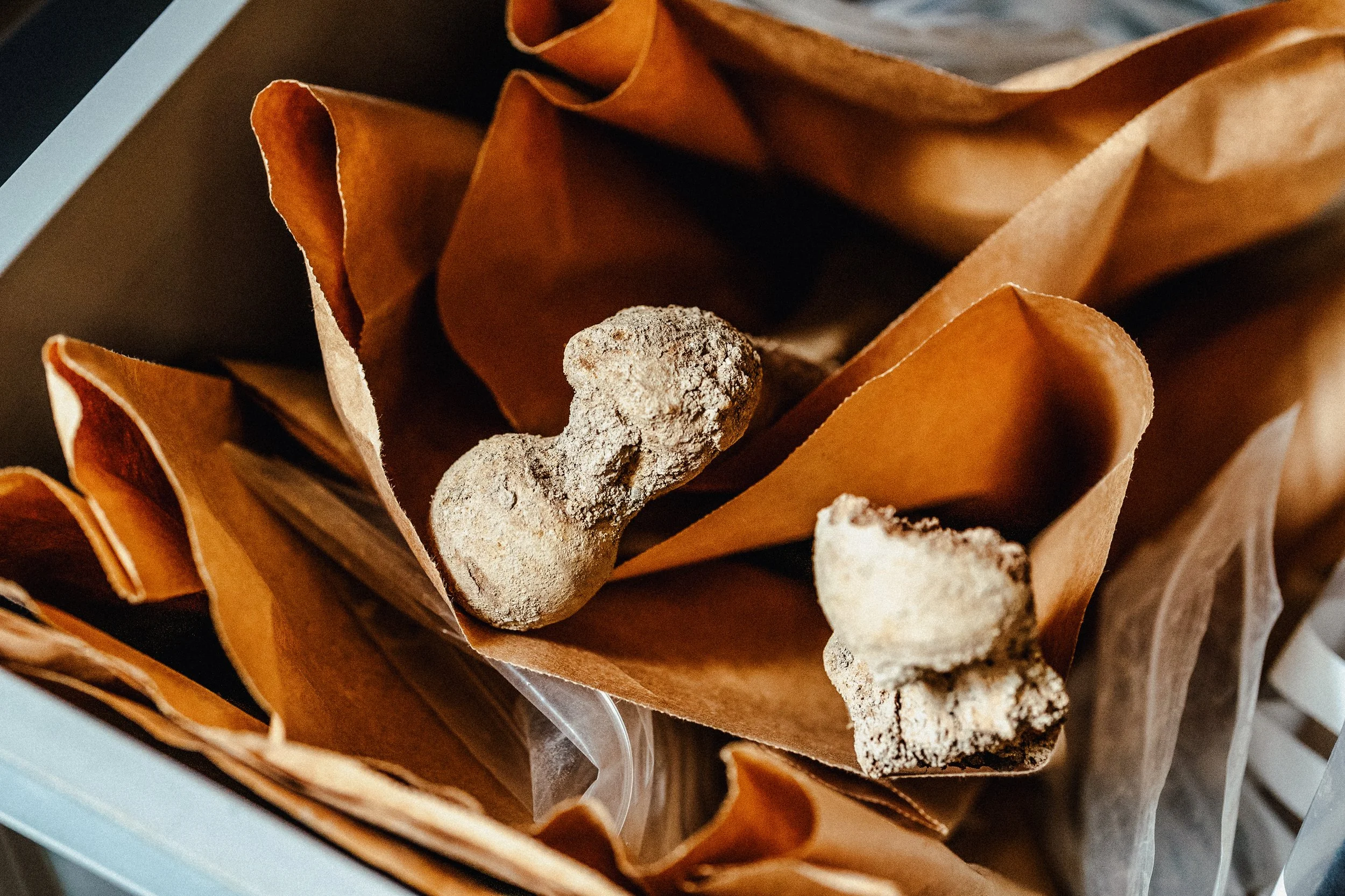 Kantonsarchäologie Schaffhausen - Fotoreportagen und Business Fotos - deine Fotografin in Schaffhausen, Winterthur, Zürich, Thurgau