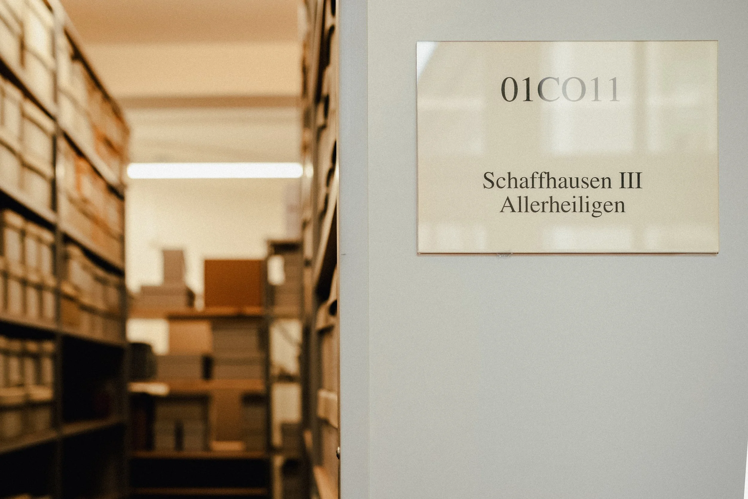 Kantonsarchäologie Schaffhausen - Fotoreportagen und Business Fotos - deine Fotografin in Schaffhausen, Winterthur, Zürich, Thurgau