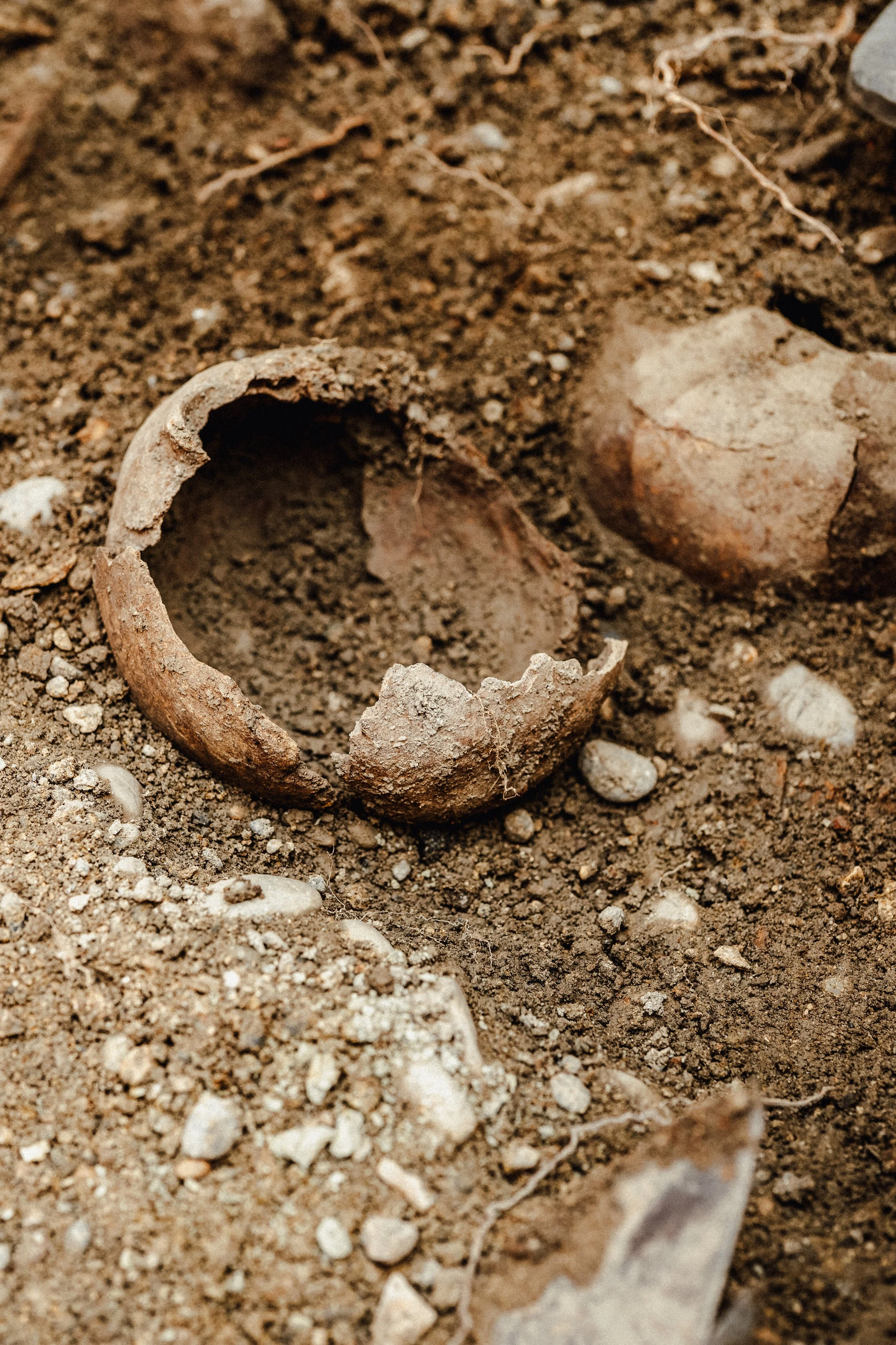 Kantonsarchäologie Schaffhausen - Fotoreportagen und Business Fotos - deine Fotografin in Schaffhausen, Winterthur, Zürich, Thurgau