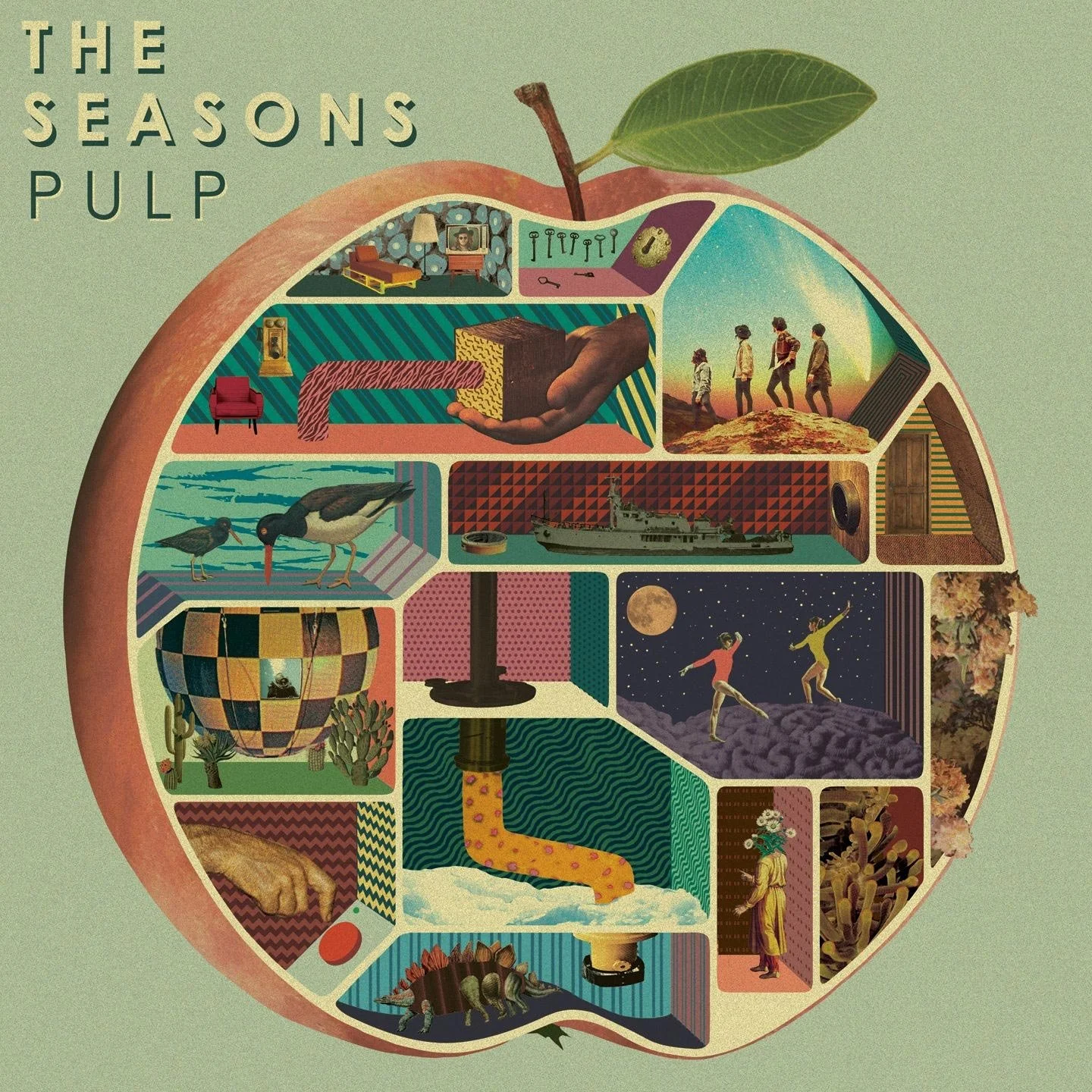 pulp.jpg