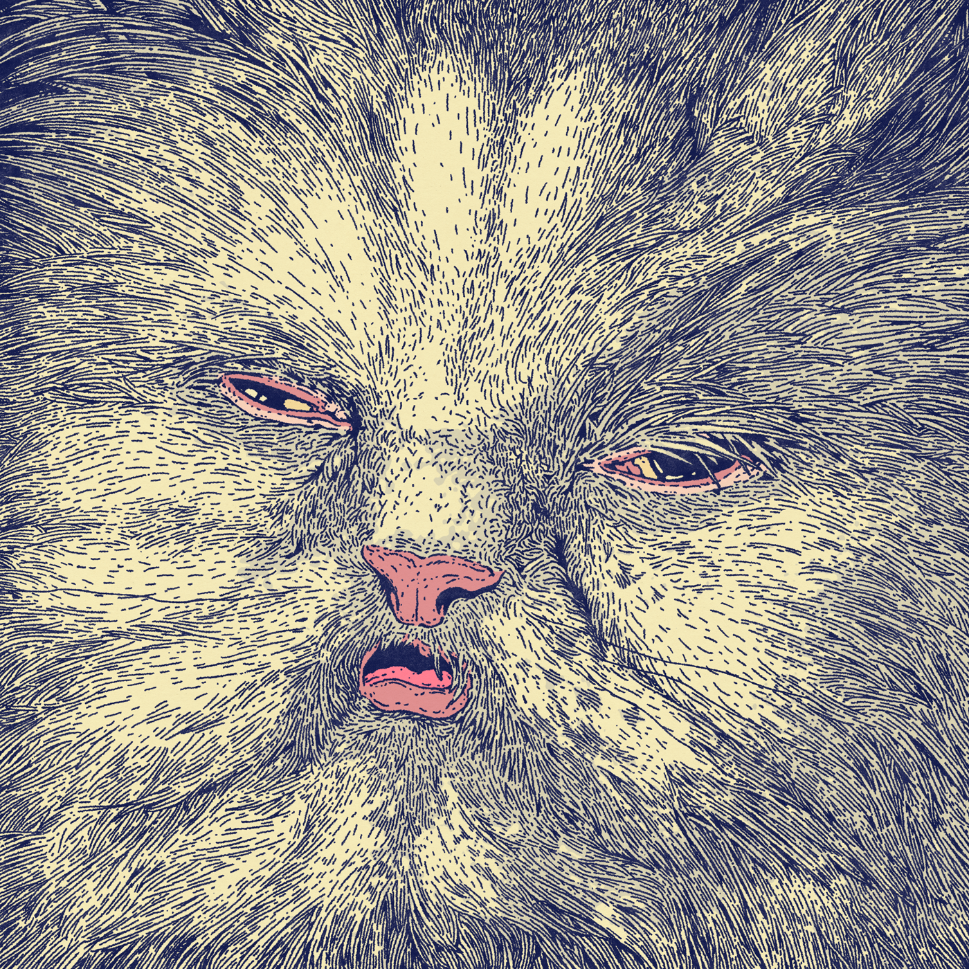 Corridor_Mimi_front_lowres.png