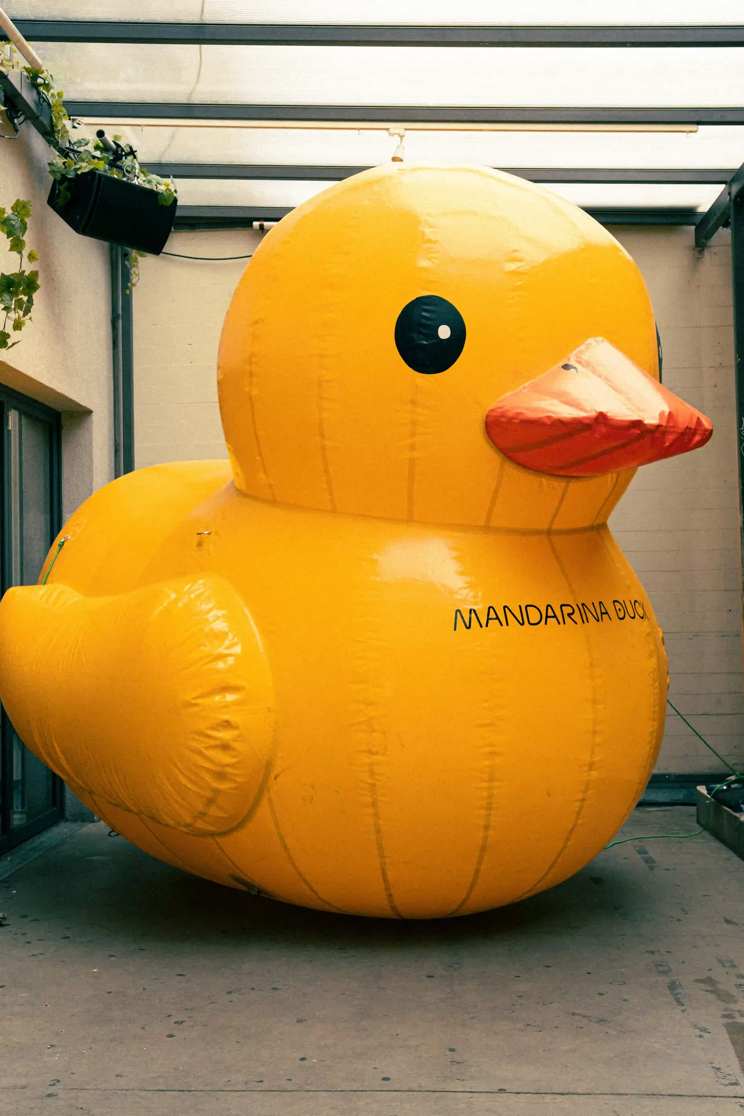 Installazione scenografica outdoor con una grande papera gonfiabile gialla brandizzata Mandarina Duck collocata nel cortile dell'evento a Berlino.