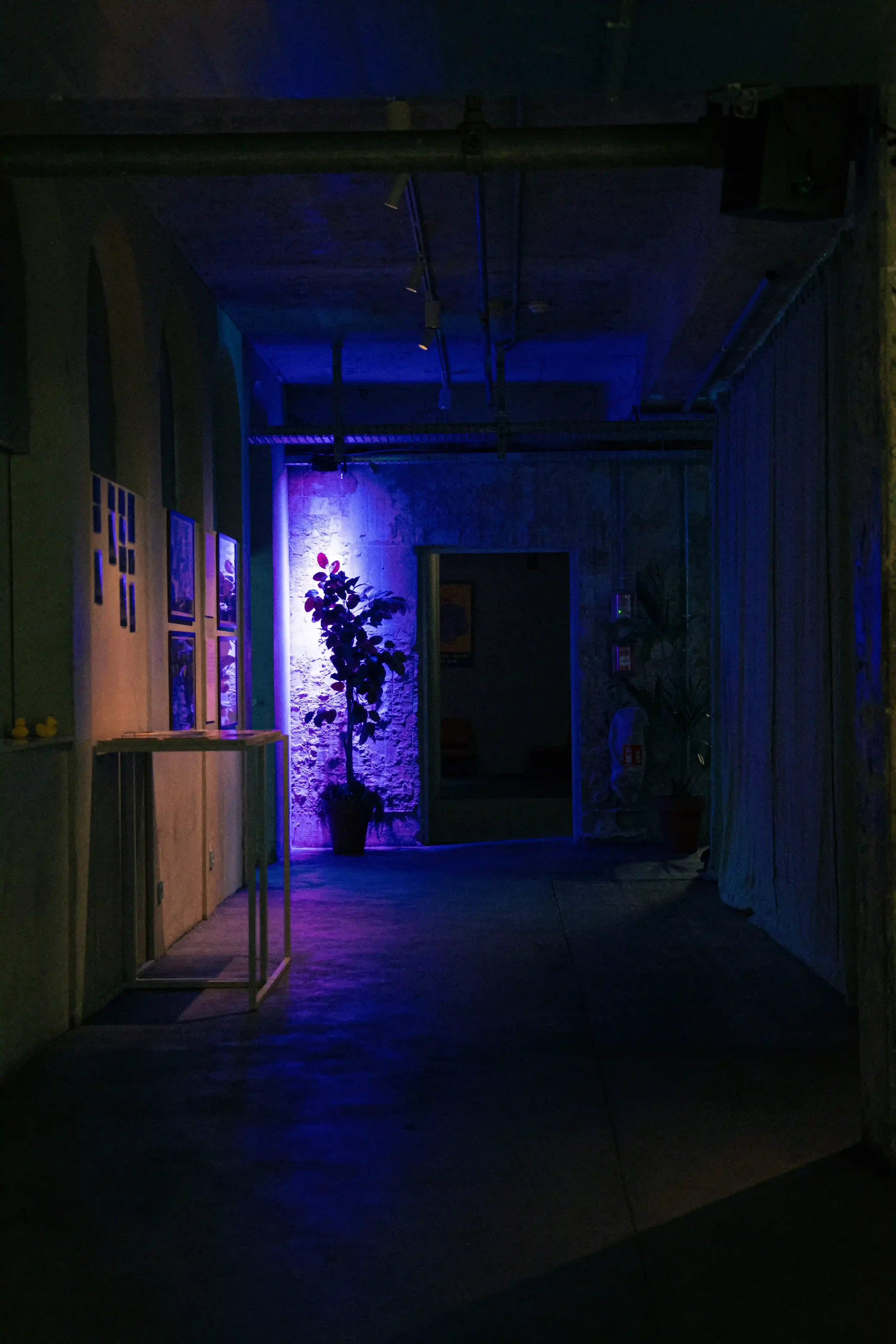 Corridoio dallo stile industriale con illuminazione d'atmosfera nei toni del viola e del blu per l'evento Mandarina Duck a Berlino. Set design espositivo con pareti in cemento a vista e piante d'arredo.