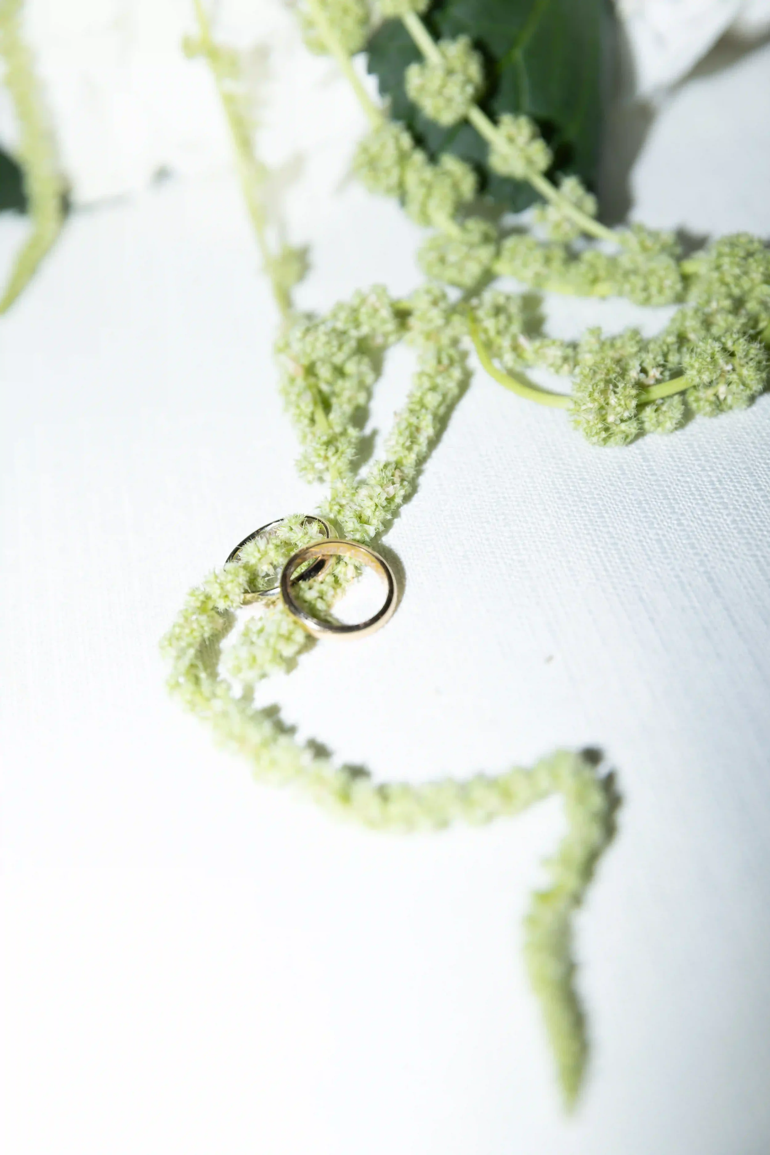 Inquadratura ravvicinata delle fedi nuziali in oro giallo adagiate su un elegante ramo di amaranto verde sopra una tovaglia in lino bianco.