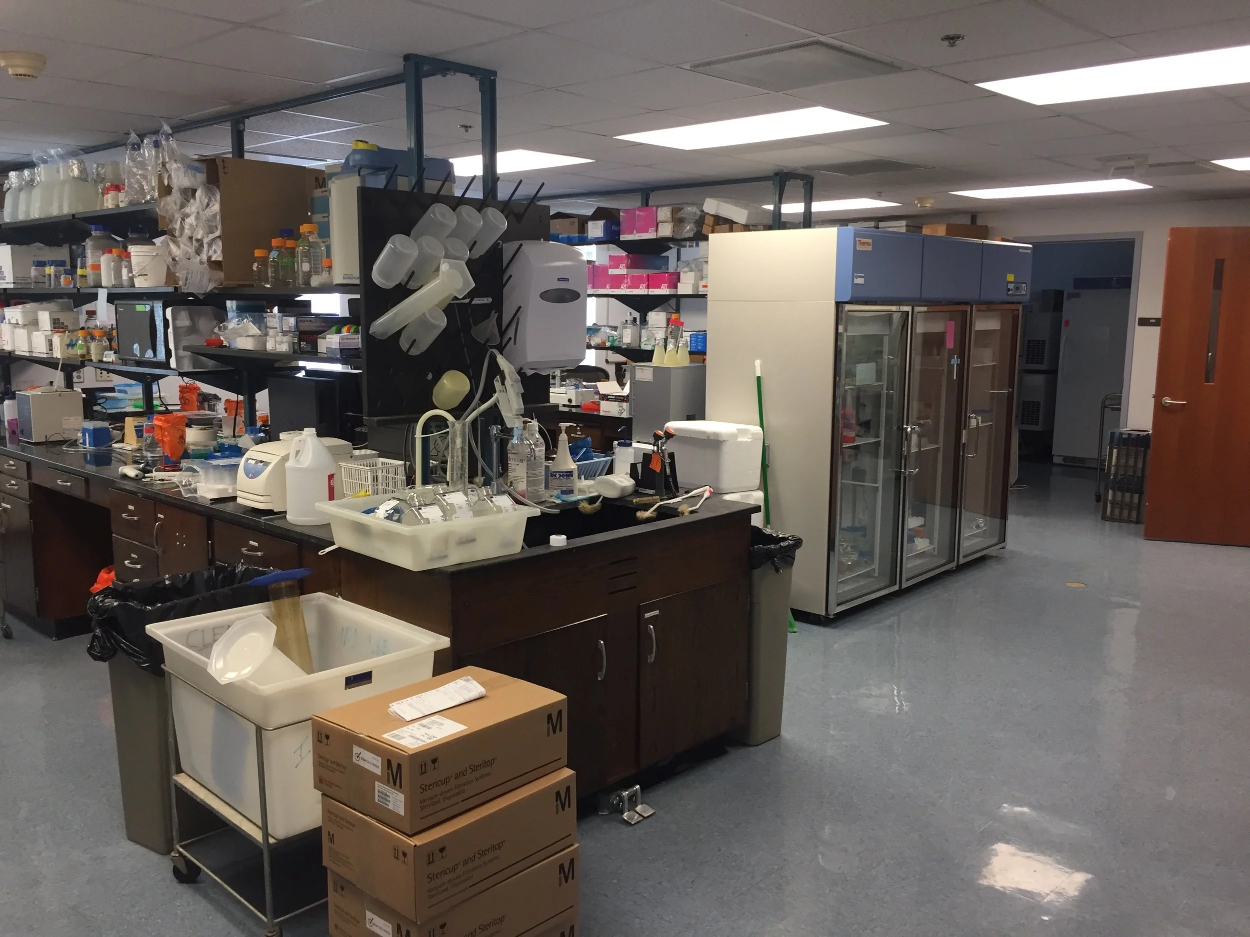 UNC Med B Lab 1.jpg