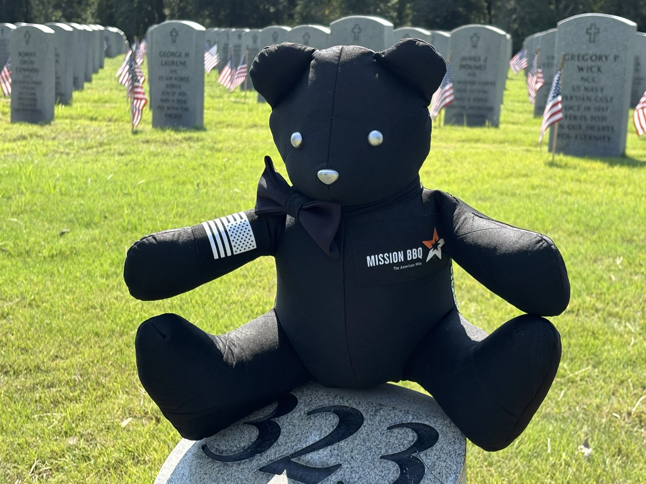 Bear_Mission_front.jpeg
