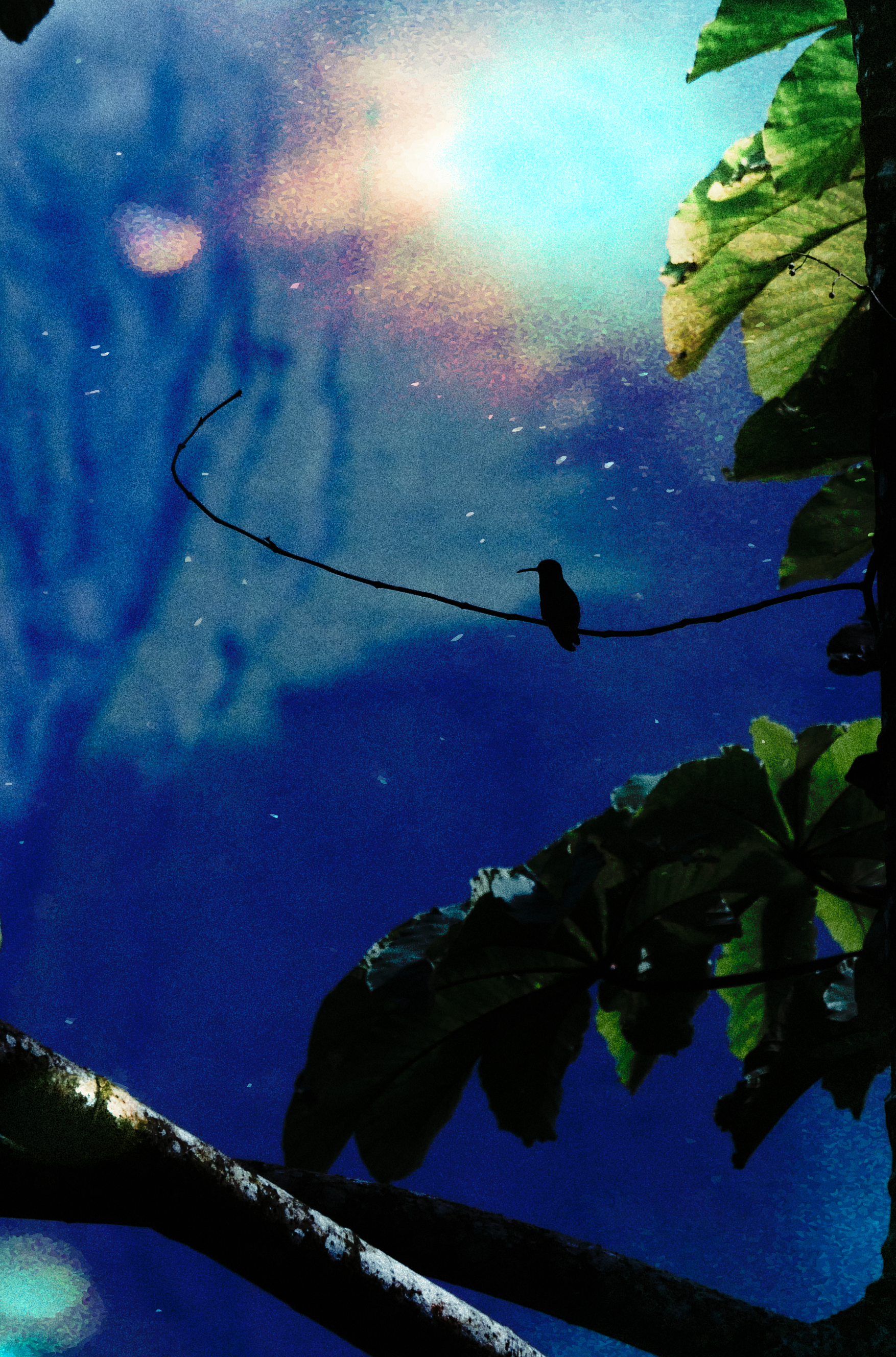 P1036870-1.png