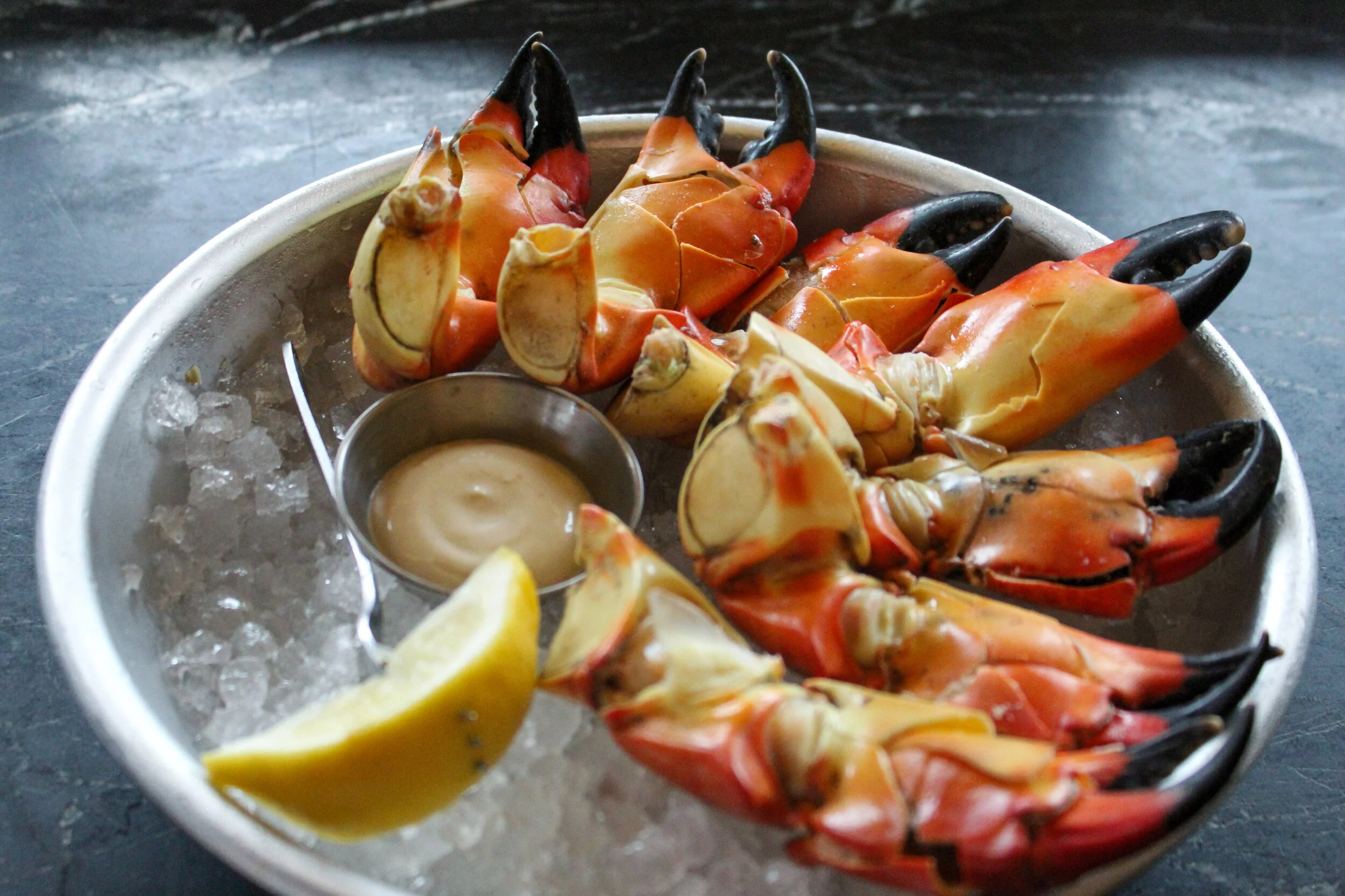 STIR - Stone Crab.jpg