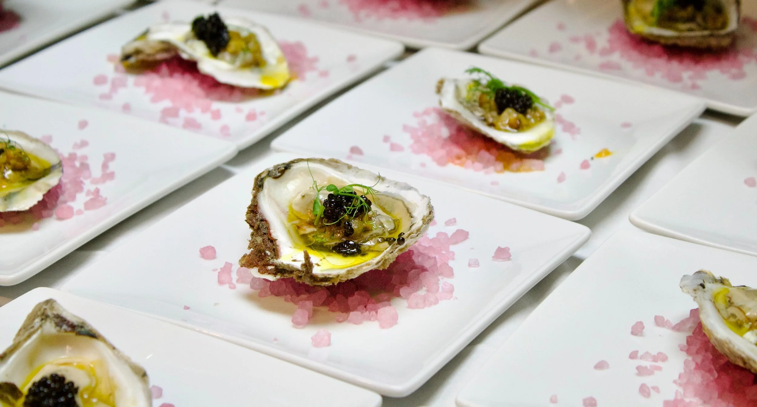 Close-up of oyster shells filled with a top layer of creamy sauce, garnished with black caviar and fresh green herbs, on white plates with pink salt.