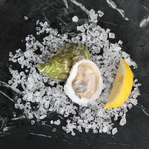 STIR Chattanooga Best Oyster.jpg