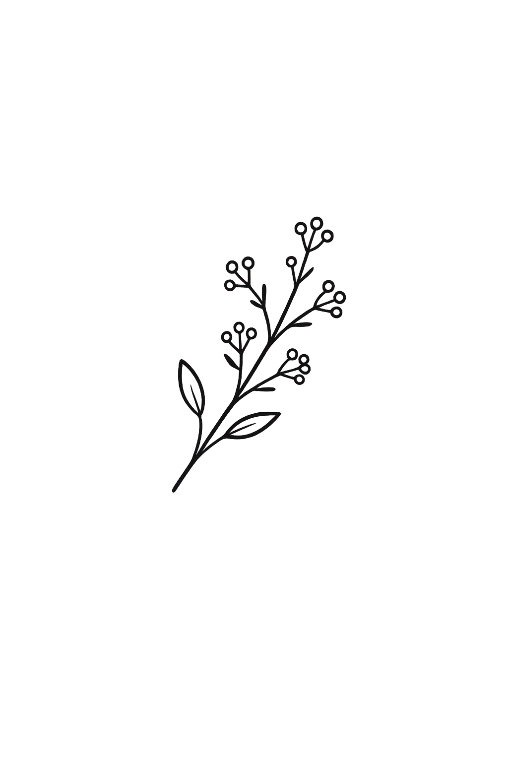 Une illustration botanique de fleurs, inspirée de la nature et du terroir.