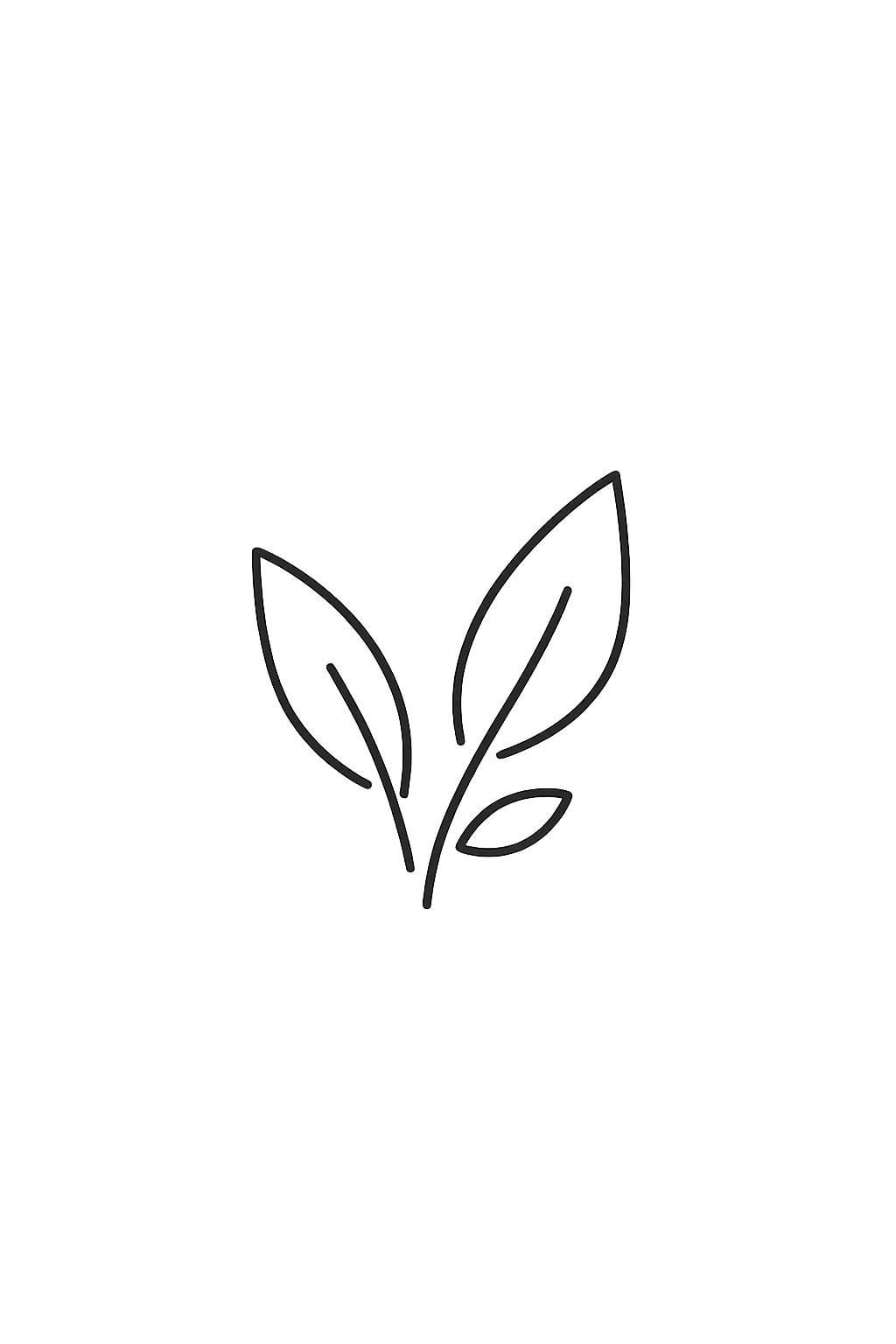Une illustration botanique de feuilles, univers naturel SAINDOUX.