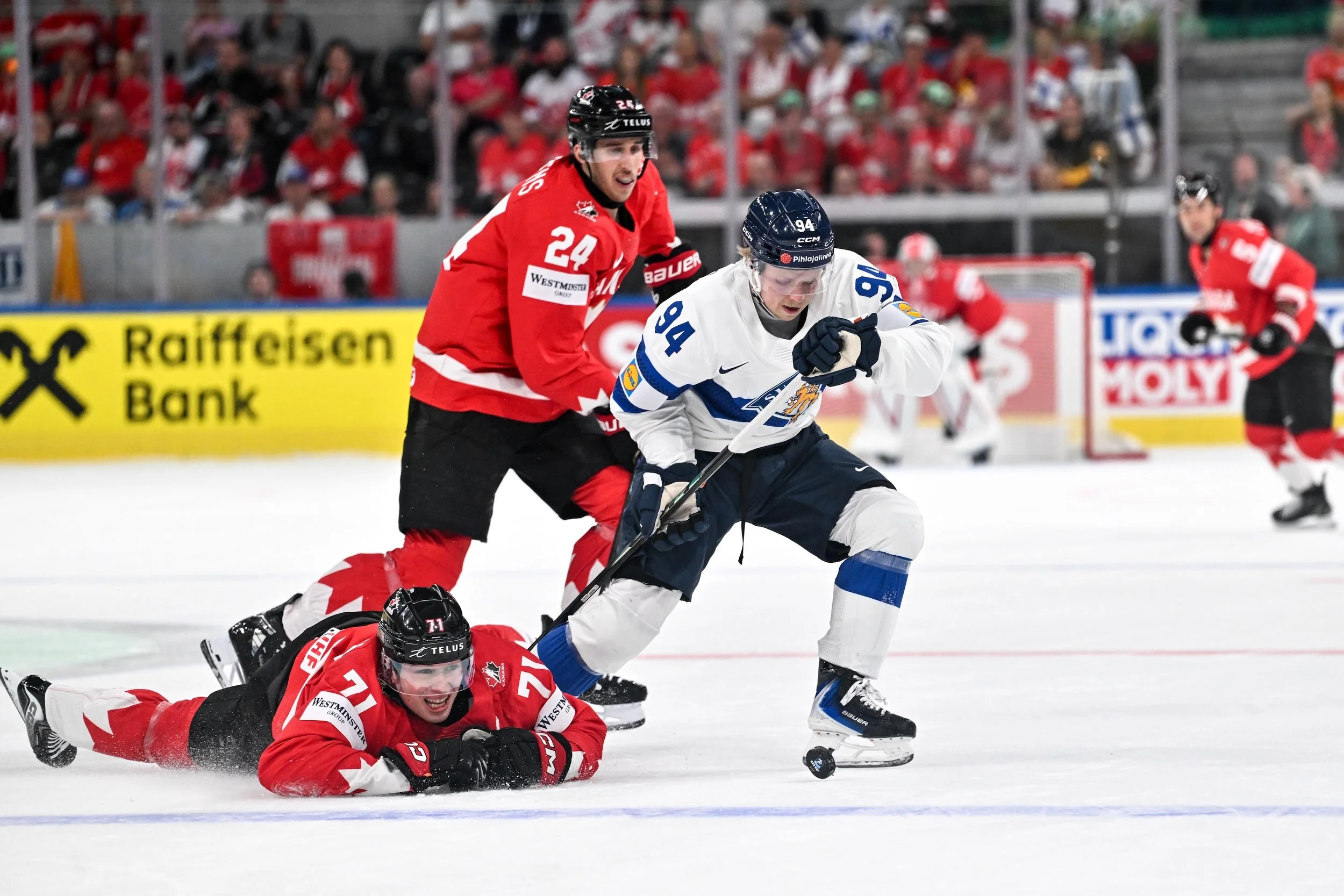  Konsta Helenius and Macklin Celebrini battle for possession 