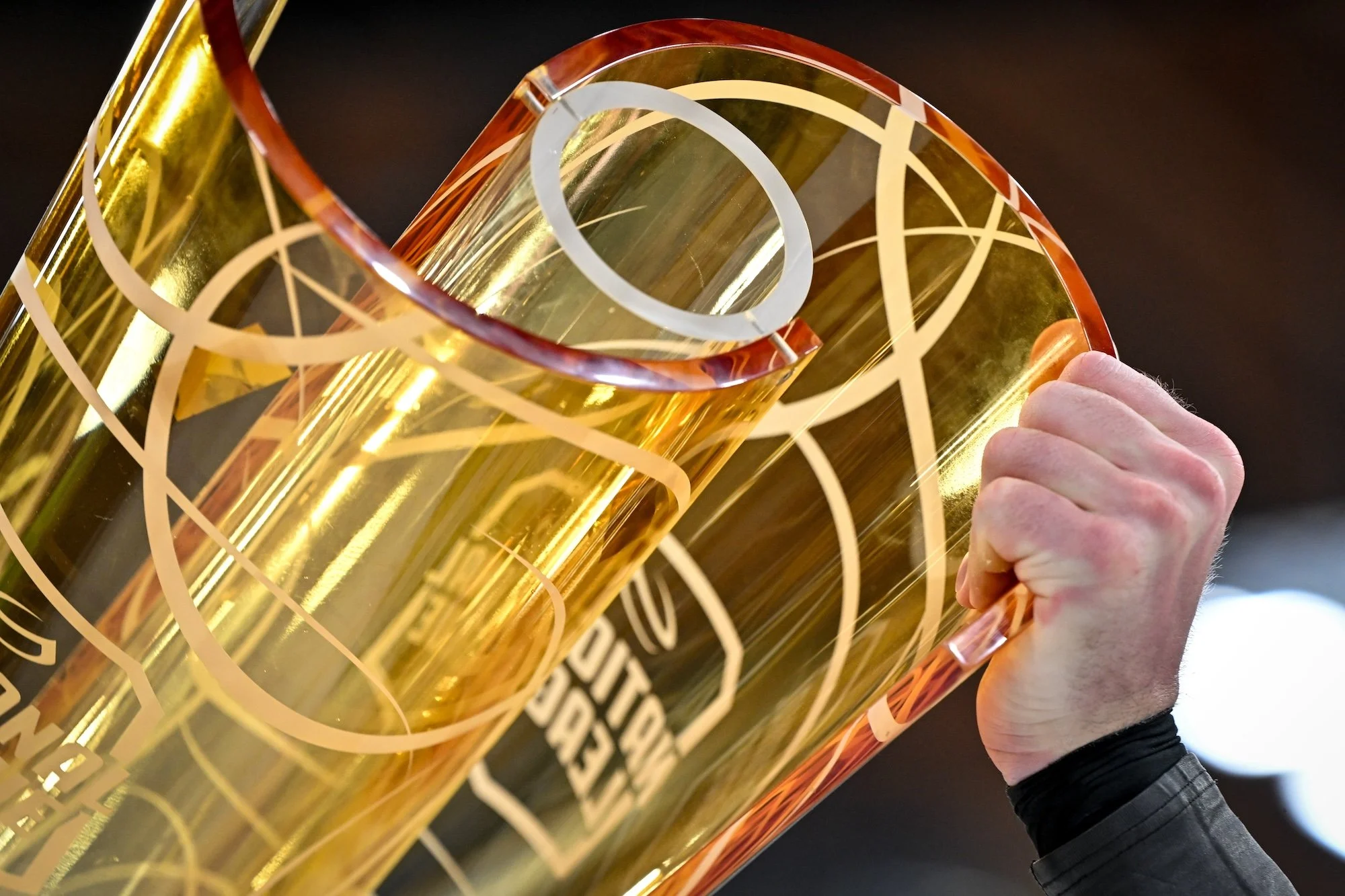  A close-up of the trophy raised high 