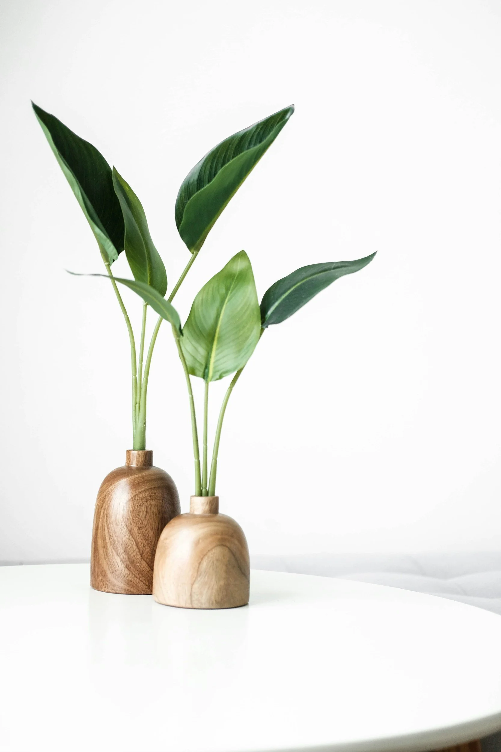 Three wooden vases with green leaves on a white table against a white wall.